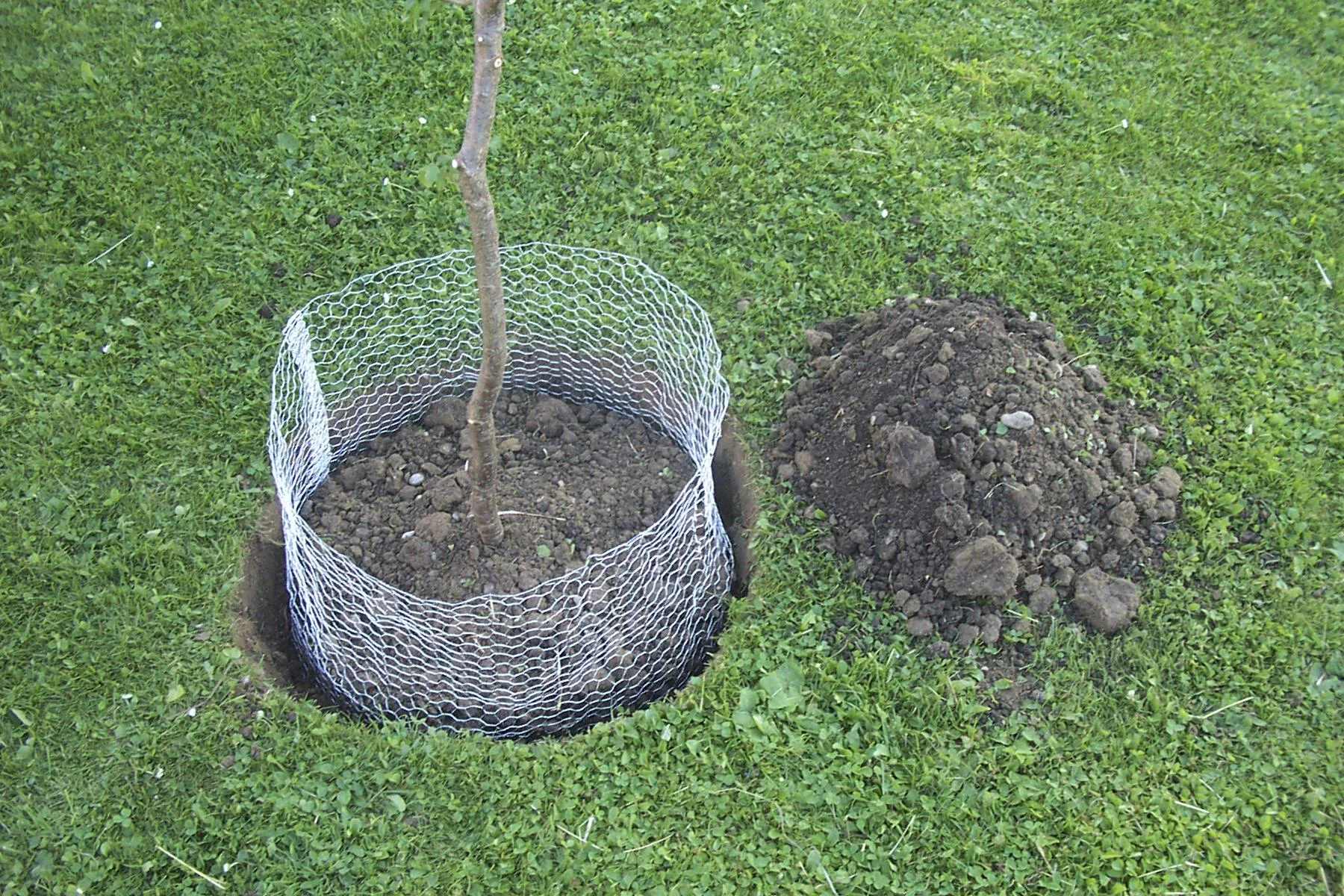 Wühlmauskorb unverzinkt, groß, 60 cm - 2