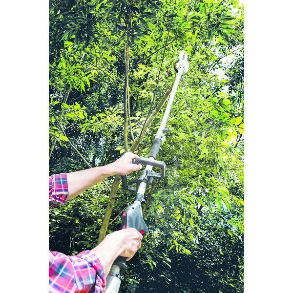 MULTIFUNKTIONALE GARTENBAUMASCHINE MFH5200-4P - 6