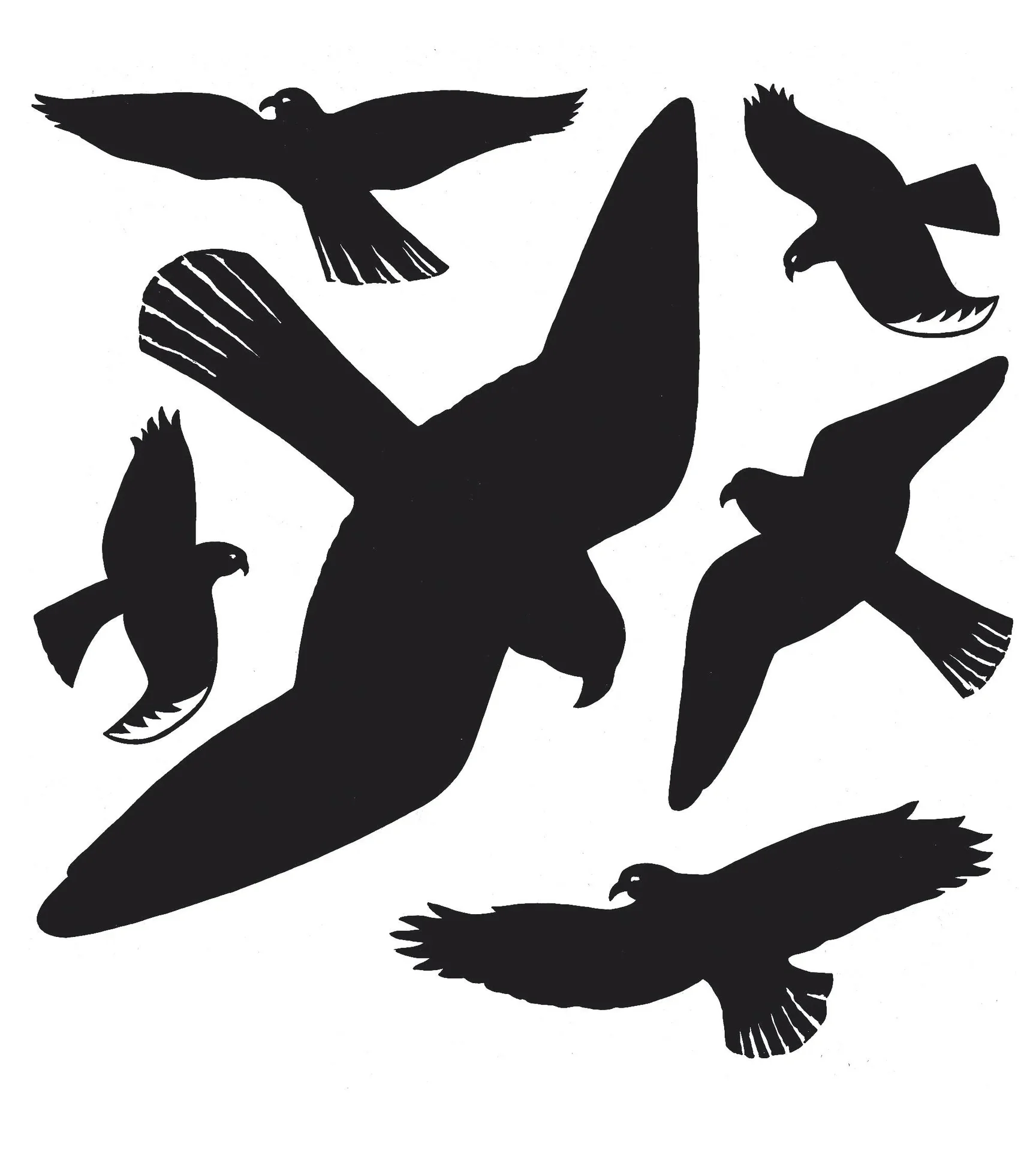 Warnvögel-Aufkleber für Fenster, schwarz, 30 x 30 cm - 0