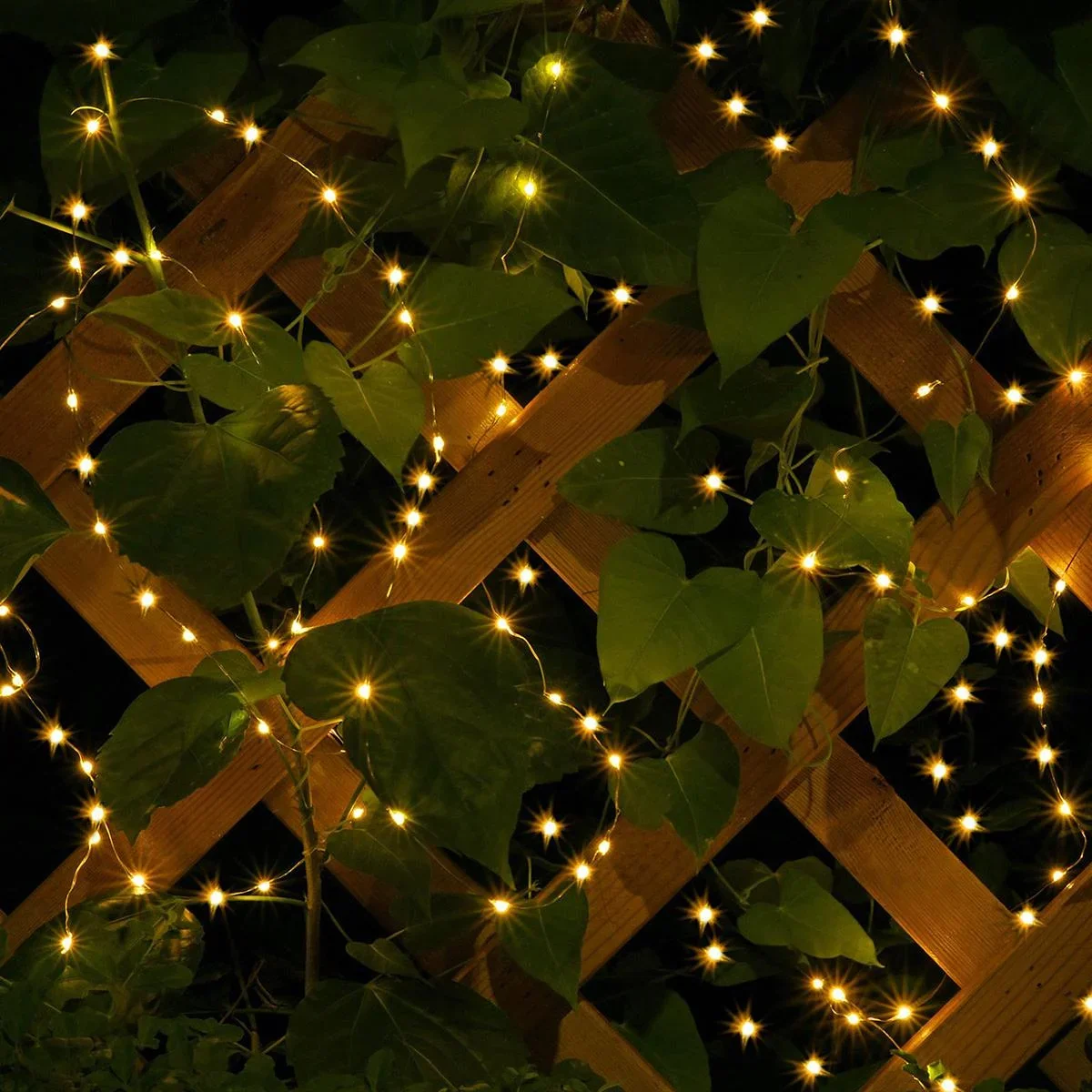 Weihnachtsbeleuchtung - 100 LED - Warmweiß - 563cm - 1