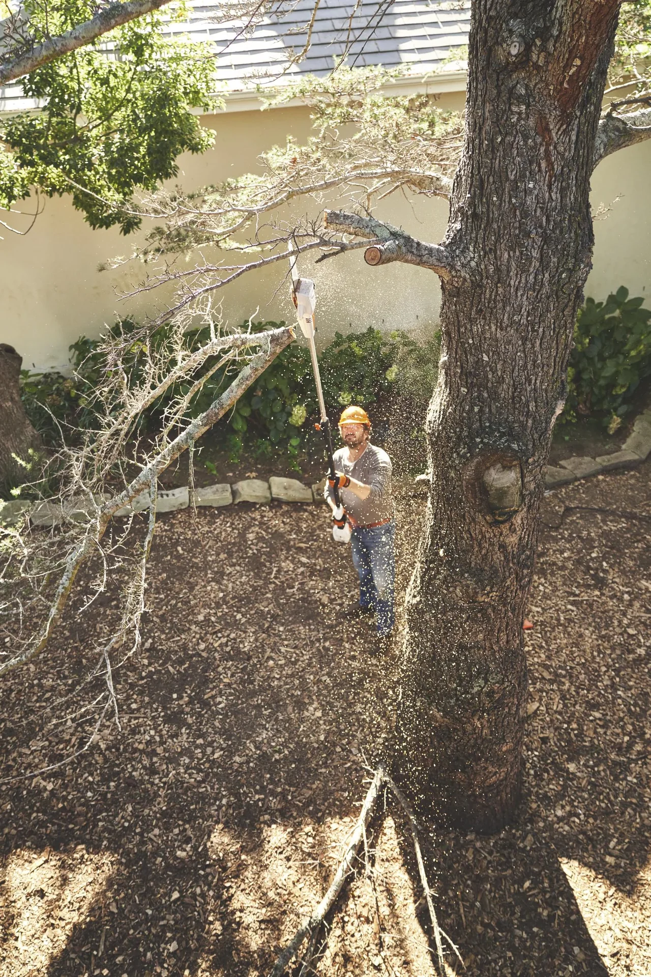 Akku-Hochentaster HTA 50, Grundgerät ohne Akku und Ladegerät - 1