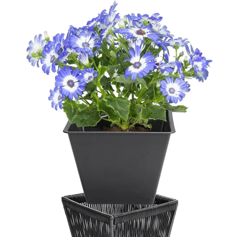 Blumenkasten Acapulco 2er-Set schwarz 36x36x40cm - 3