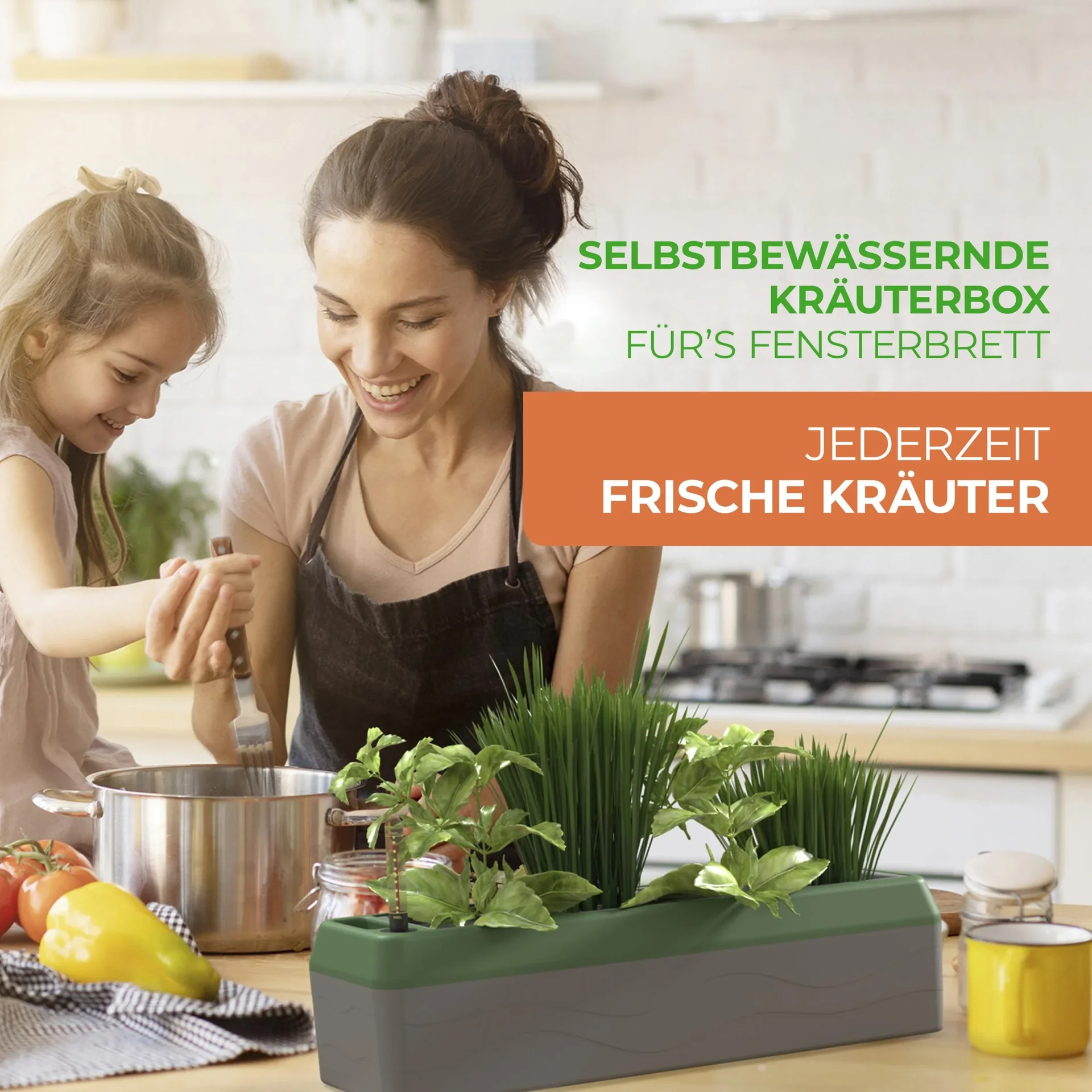 Kräuterbox "Provence" - 2