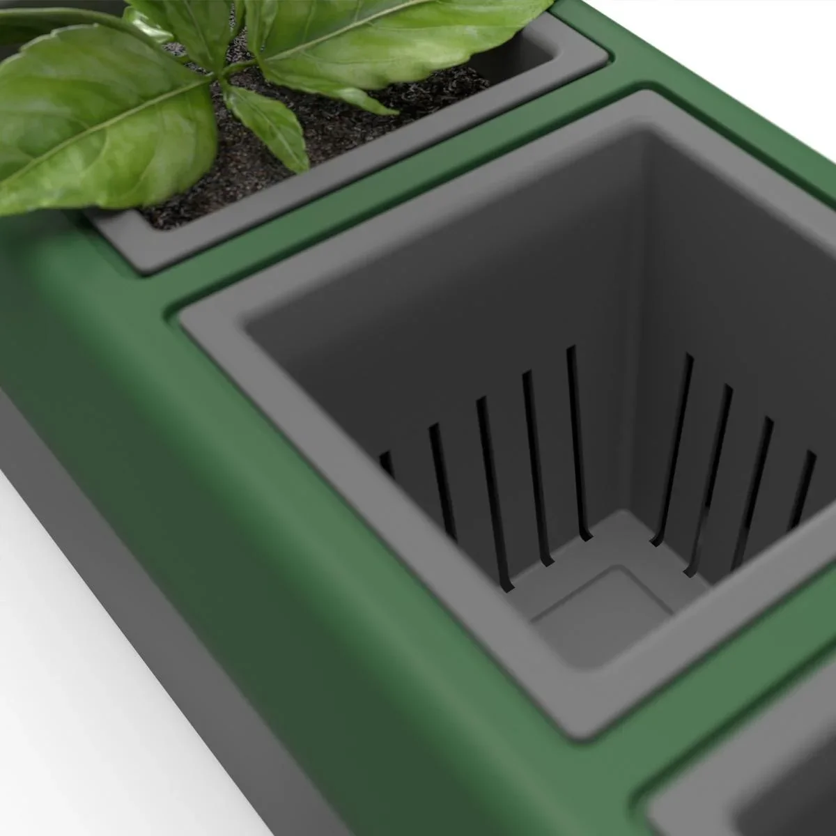 Kräuterbox "Provence" - 3