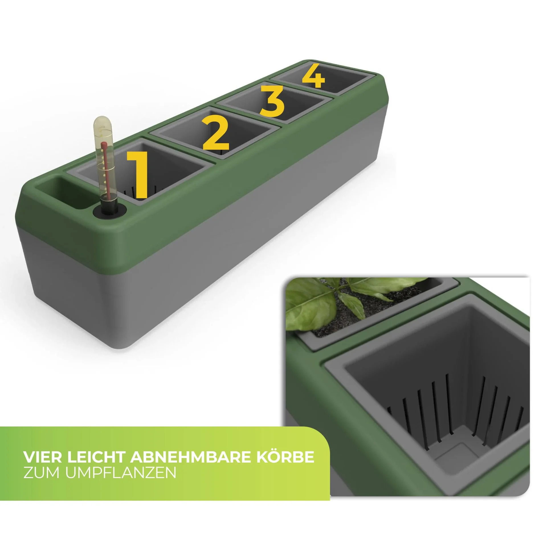 Kräuterbox "Provence" - 6