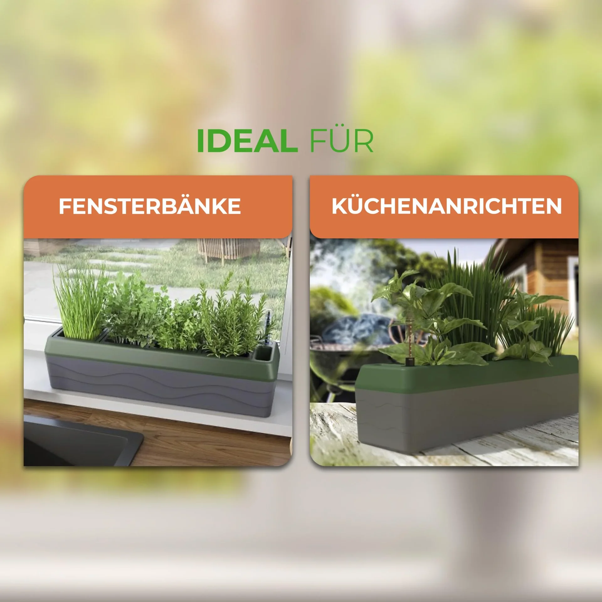 Kräuterbox "Provence" - 8