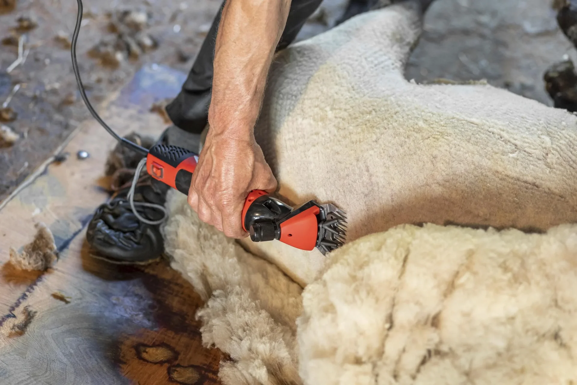 Schafschermaschine FarmClipper Profi - 1