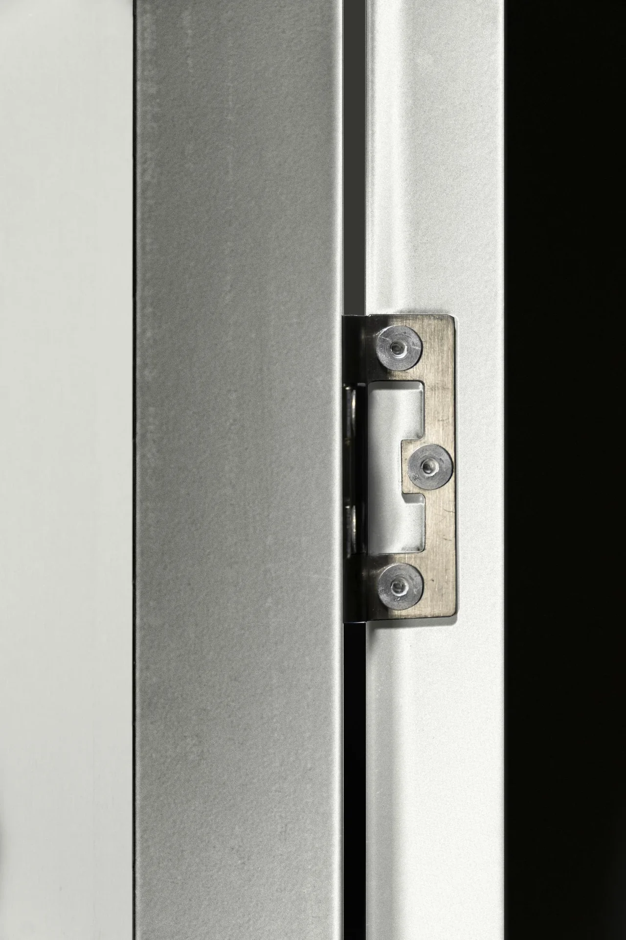 Zusatzschwingtür 176x66 cm, silber metallic, für Skillion, Lean To, Dream - 0