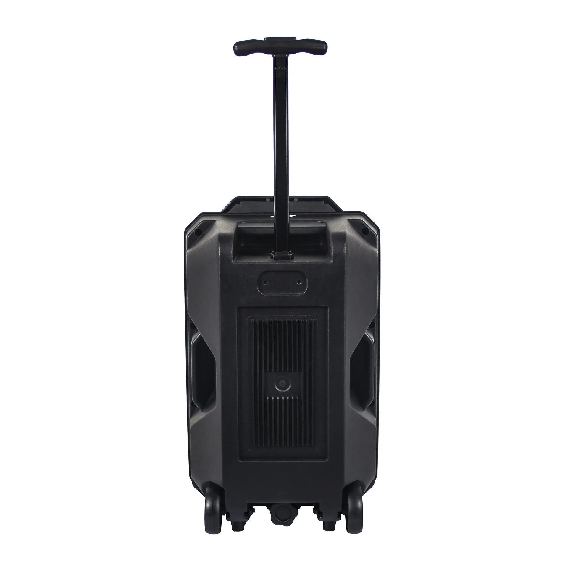 Portabler Lautsprecher mit LED Licht, Karaoke-Mikrofon und Bluetooth - 0