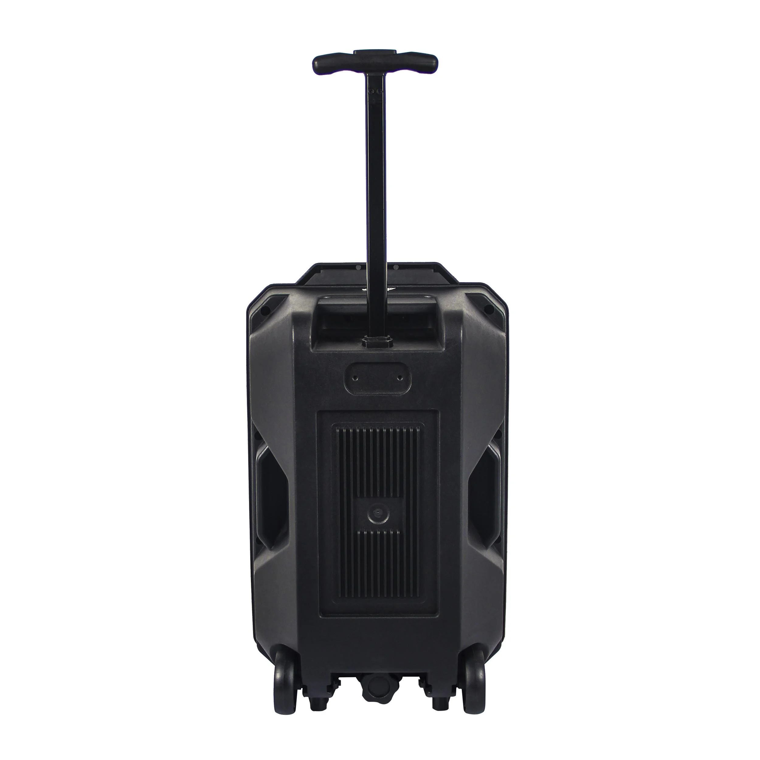 Portabler Lautsprecher mit LED Licht, Karaoke-Mikrofon und Bluetooth - 0