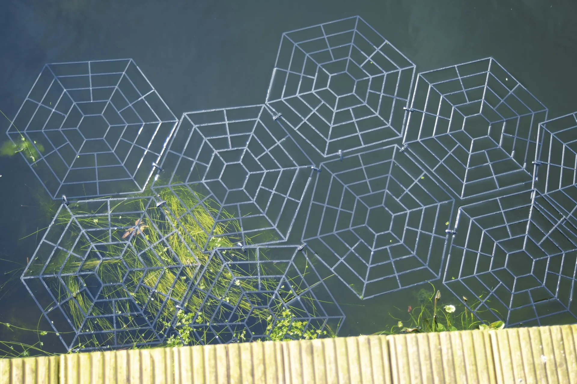 Vogelschutz-Teichgitter, 60er Set - 0