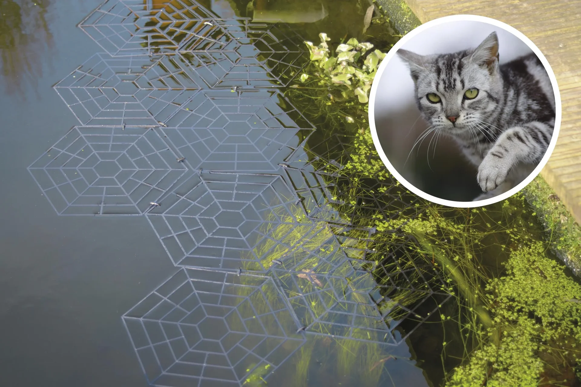 Vogelschutz-Teichgitter, 60er Set - 4