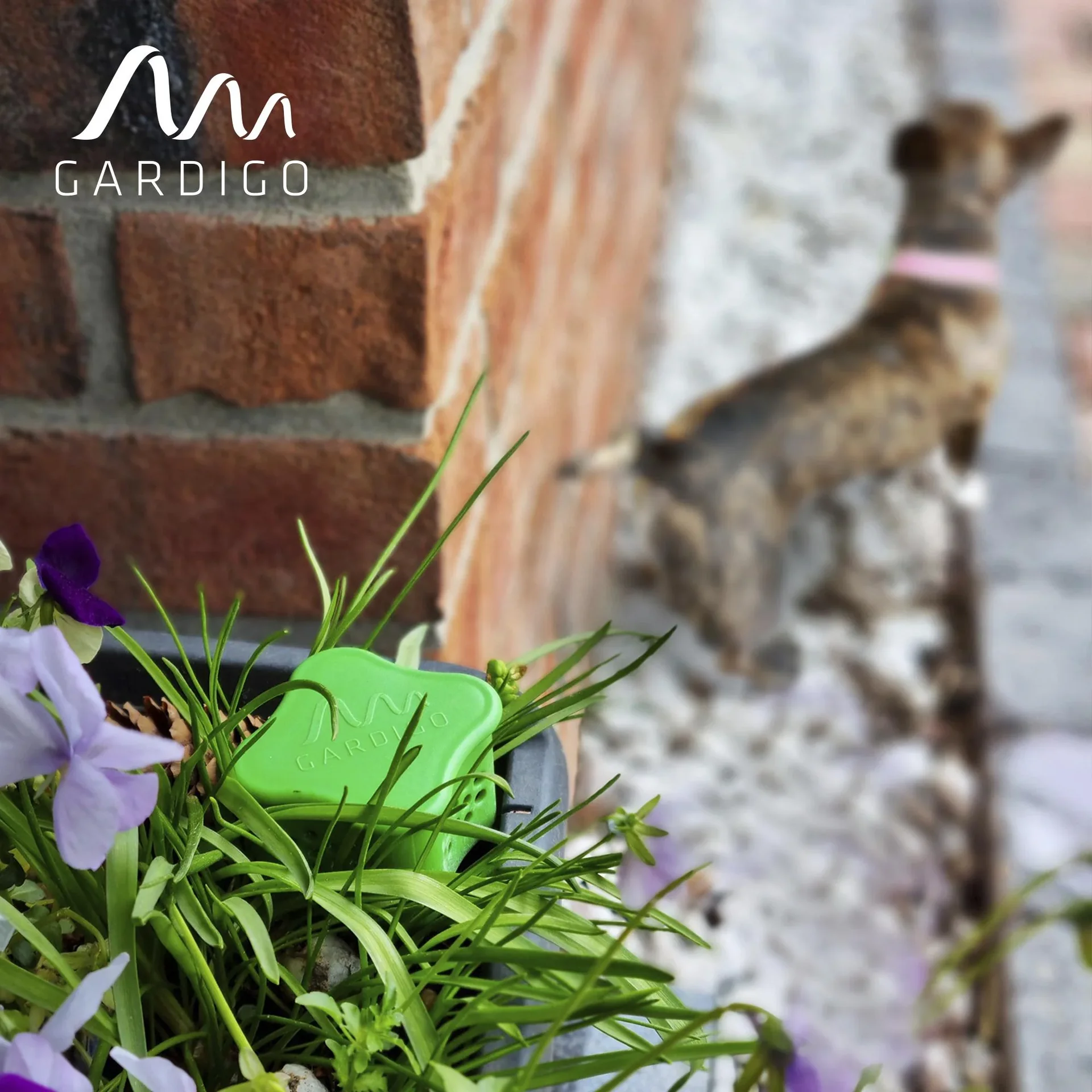 Hundeverdufter mit Beet-Stecker - 5