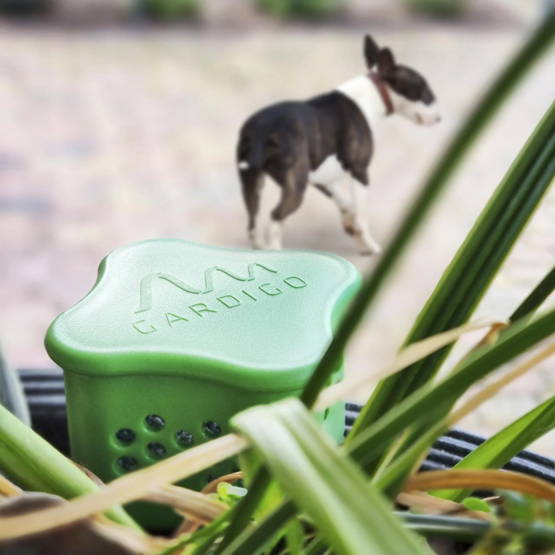 Hundeverdufter mit Beet-Stecker - 7