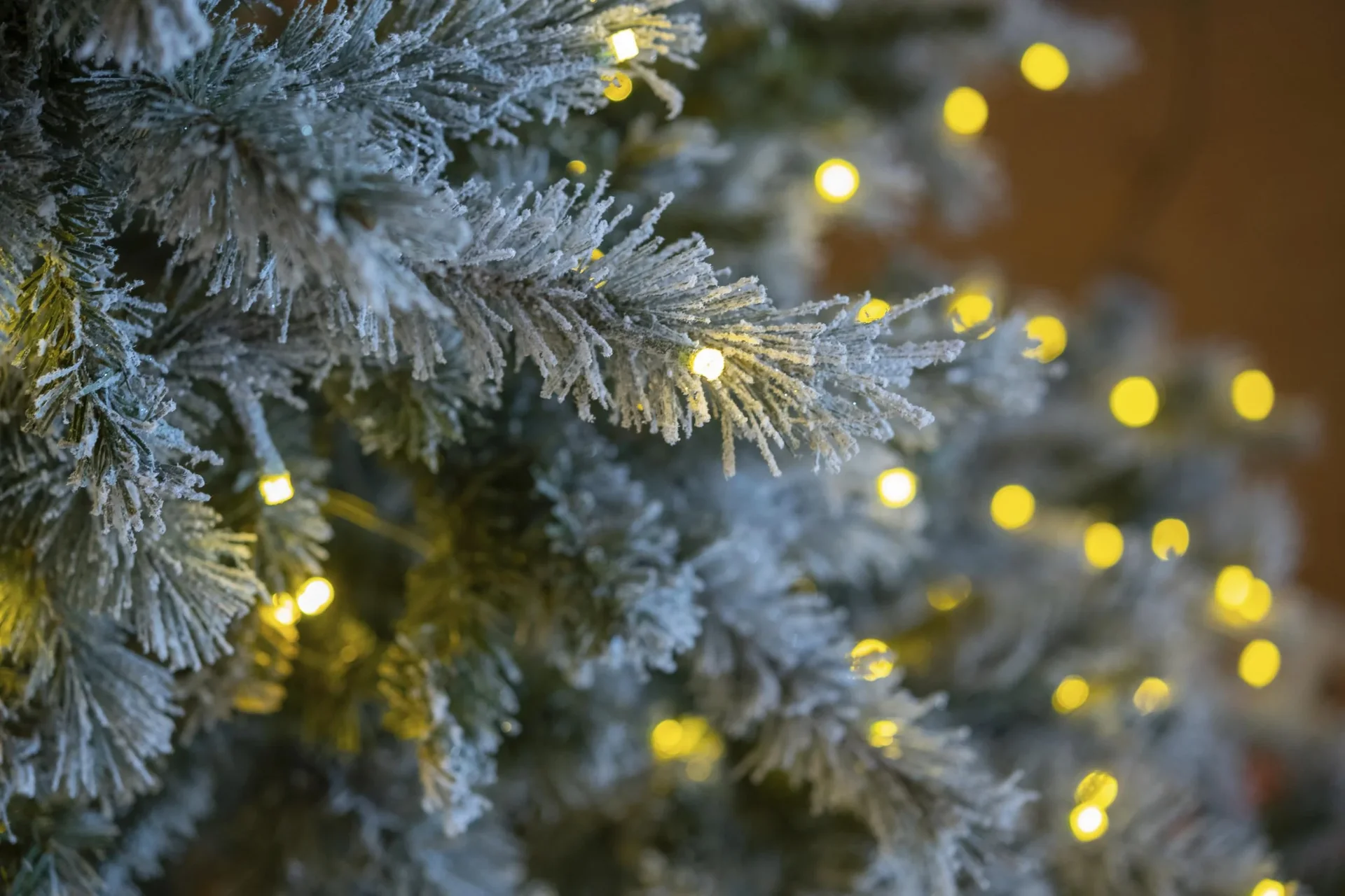 Weihnachtsbaum Fichte Frost 180 cm - 2
