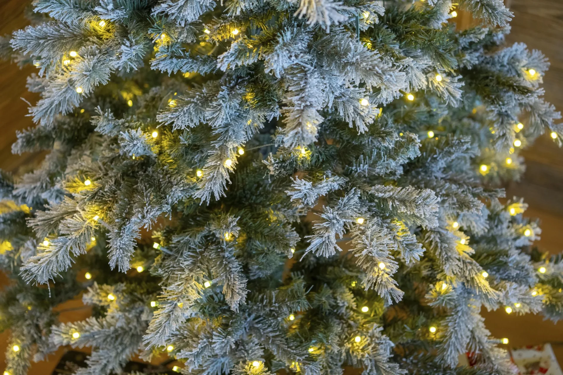 Weihnachtsbaum Fichte Frost 180 cm - 4