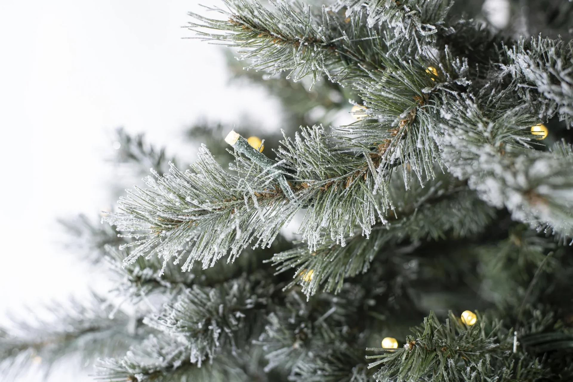 Weihnachtsbaum Fichte Frost 180 cm - 7