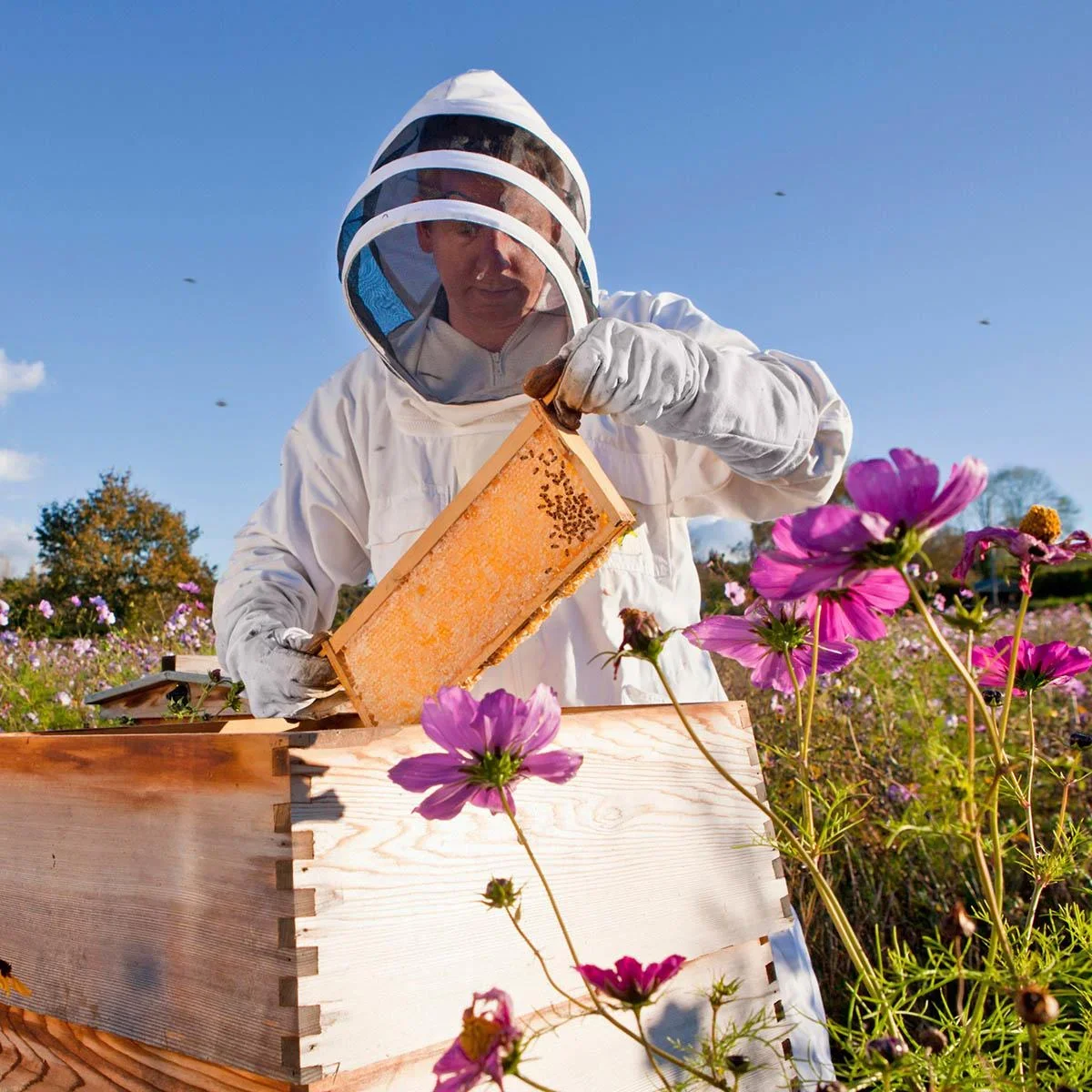 Imkeranzug mit Ziegenlederhandschuhen - Baumwolle - Weiß - XXXL - 4