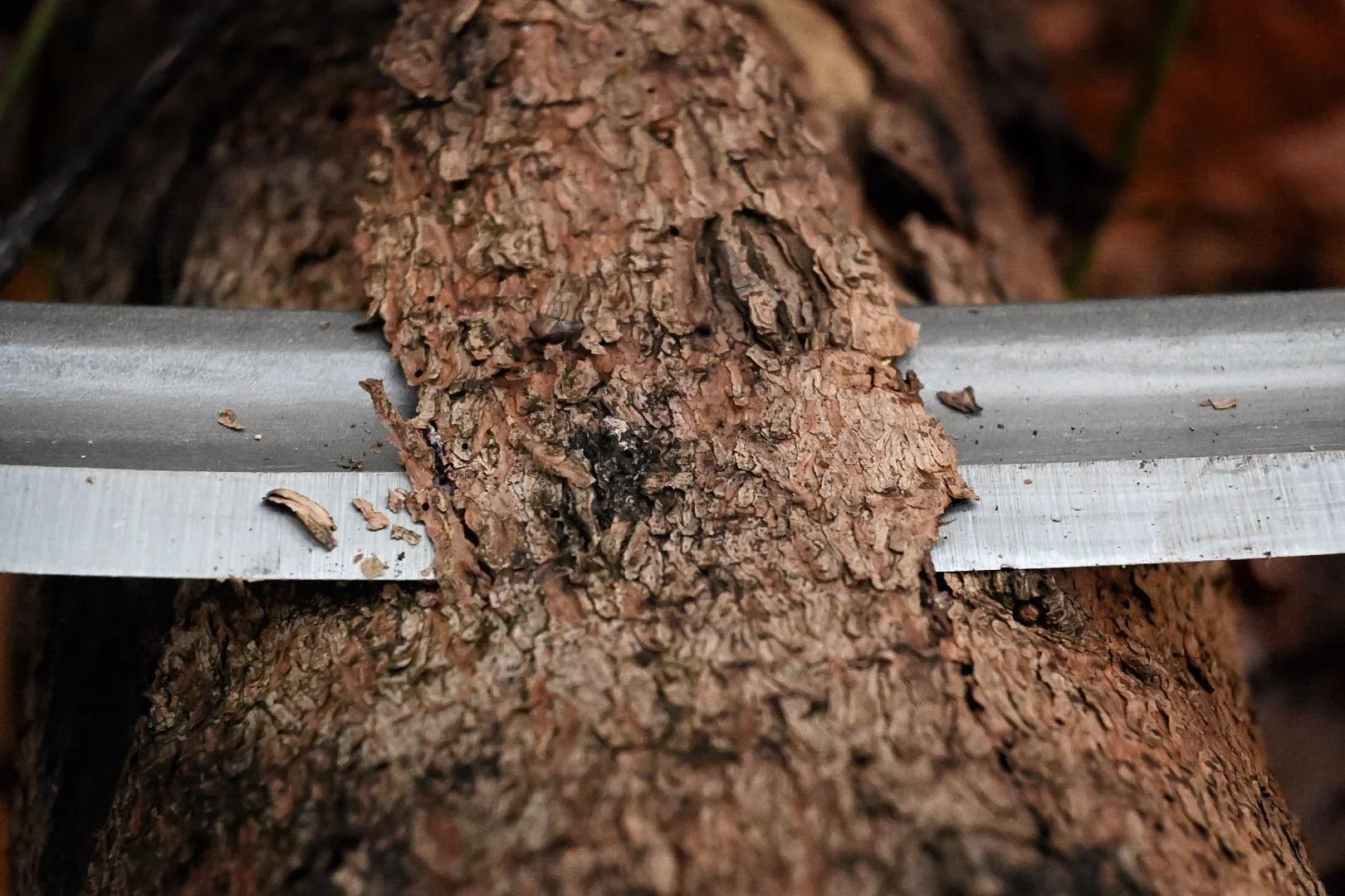 Zugmesser / Zugeisen 250 mm - 1