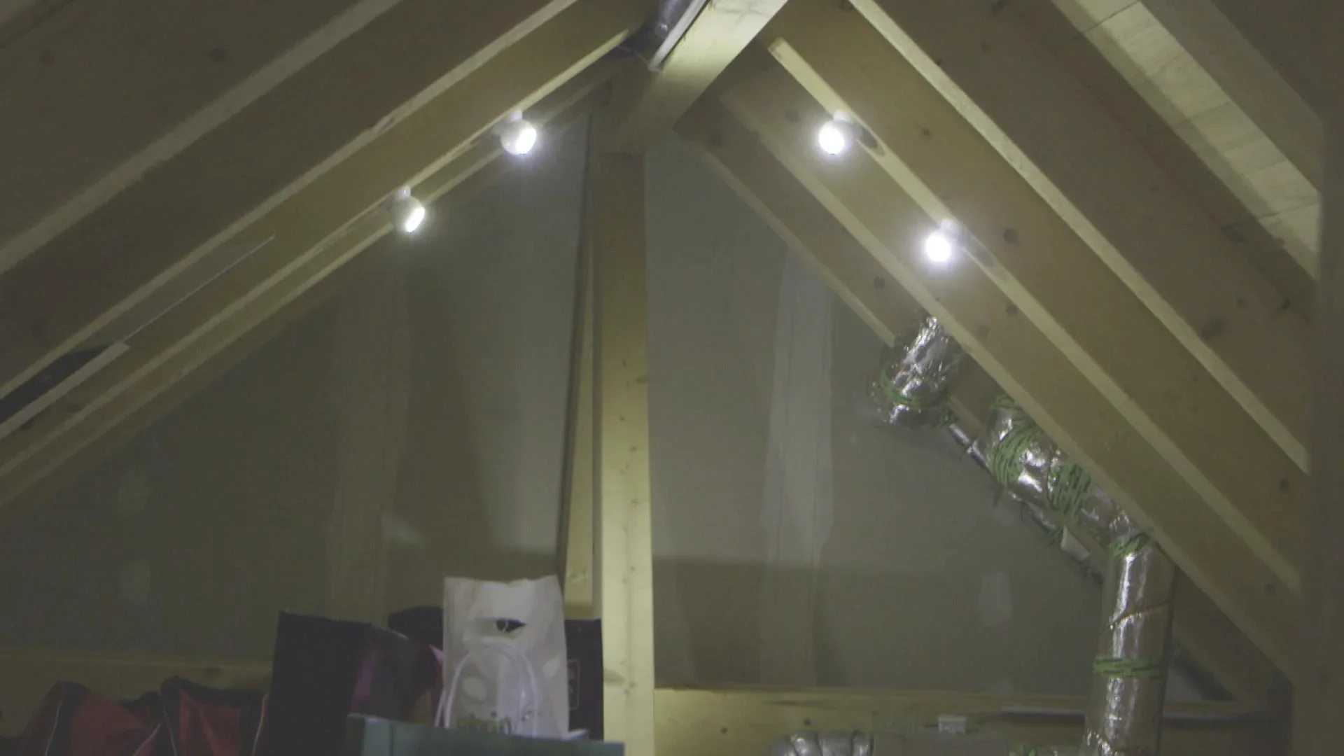 360° Drehbarer Power-LED-Lichtball - 6