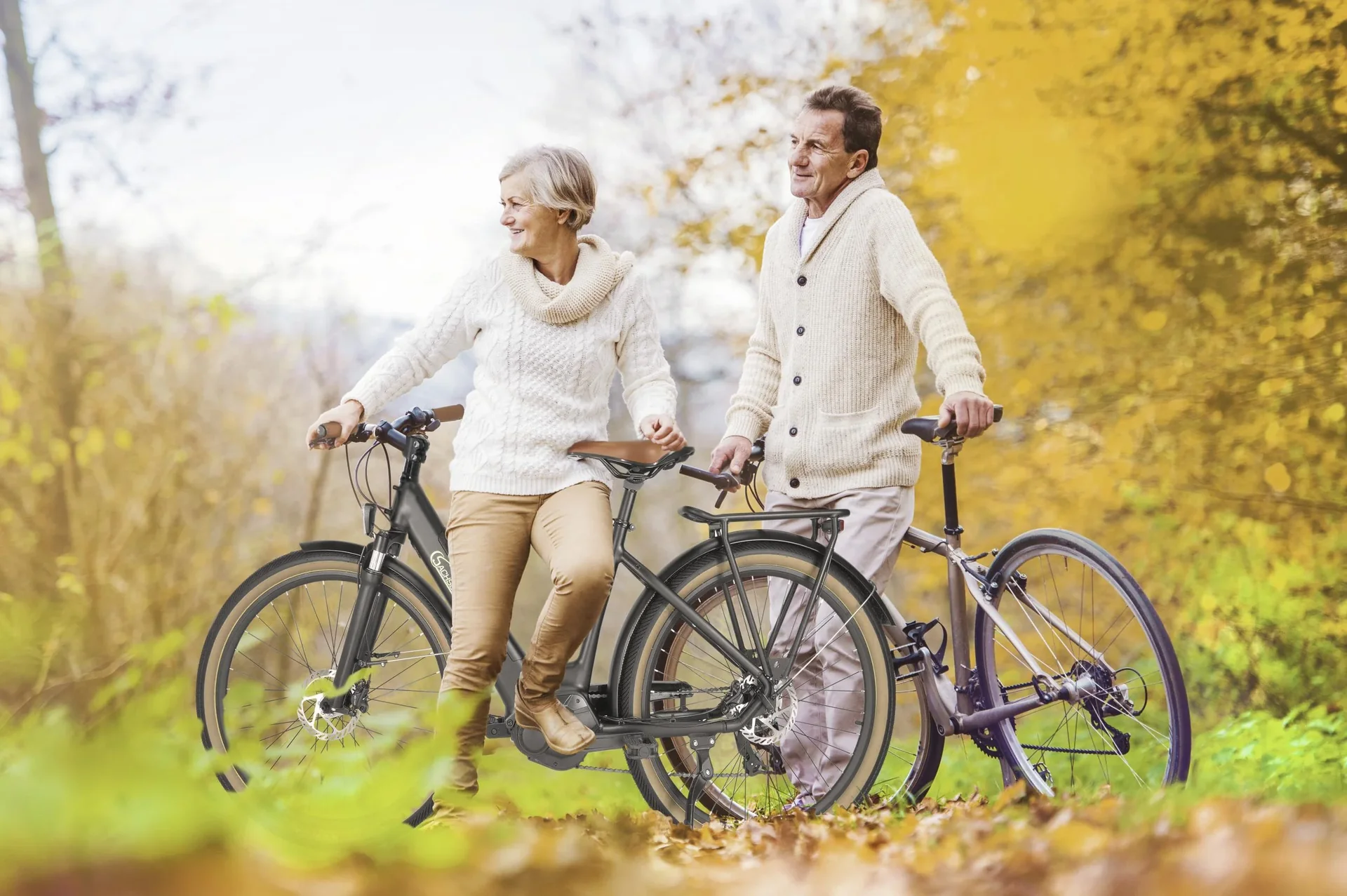 E-Citybike C5 Centro - 3