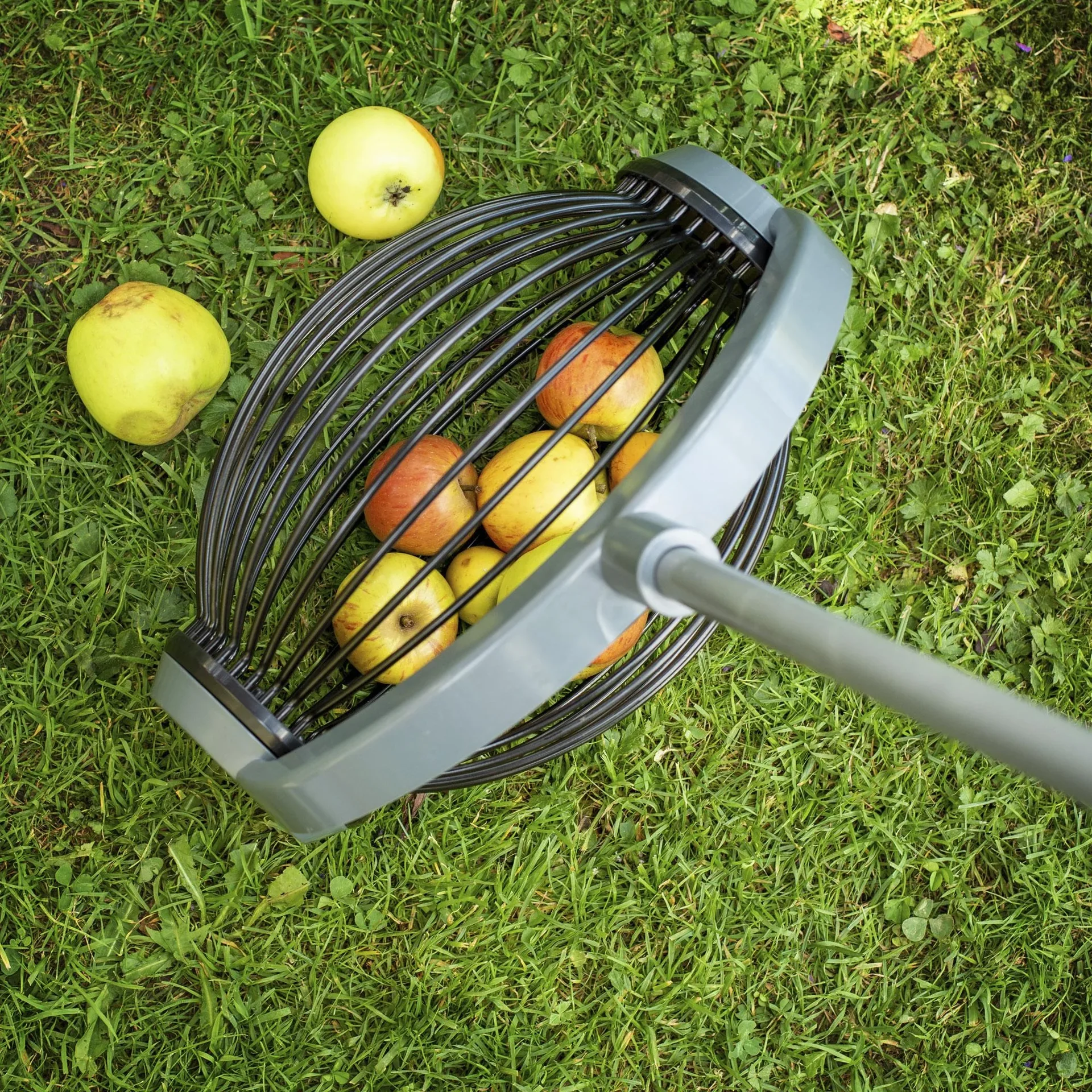 Rollsammler, Obstsammler, groß - 0