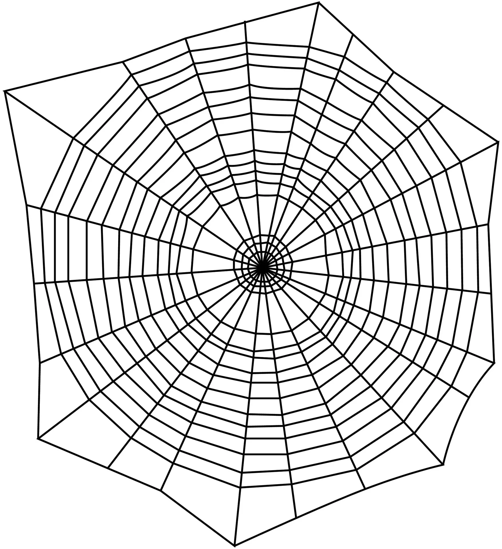 "Spinnen-Stopp", 500 ml - 1