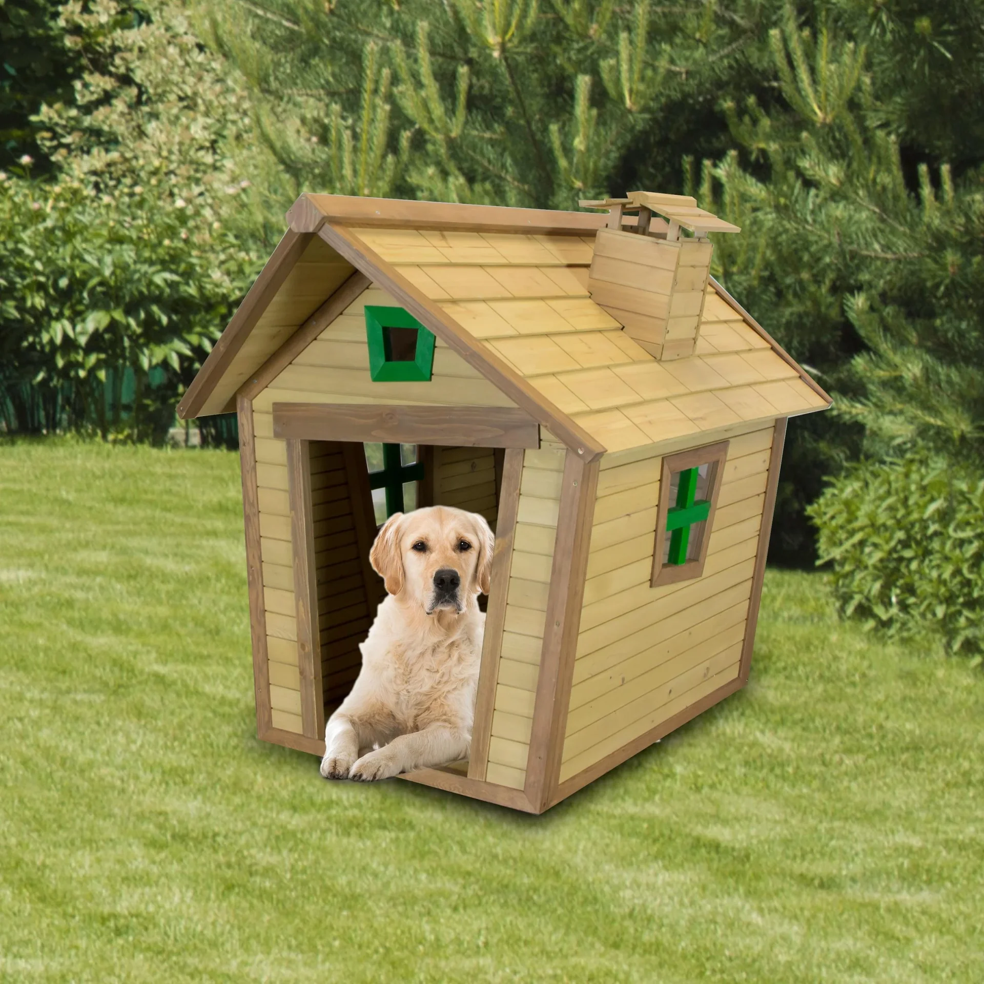 Hundehaus - 1