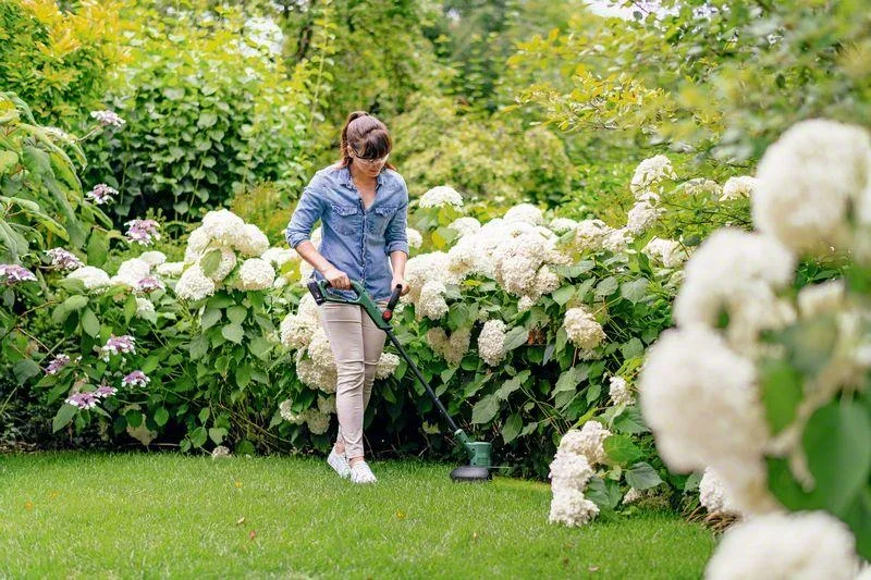 Akku-Rasentrimmer EasyGrassCut 18V-230 - 1