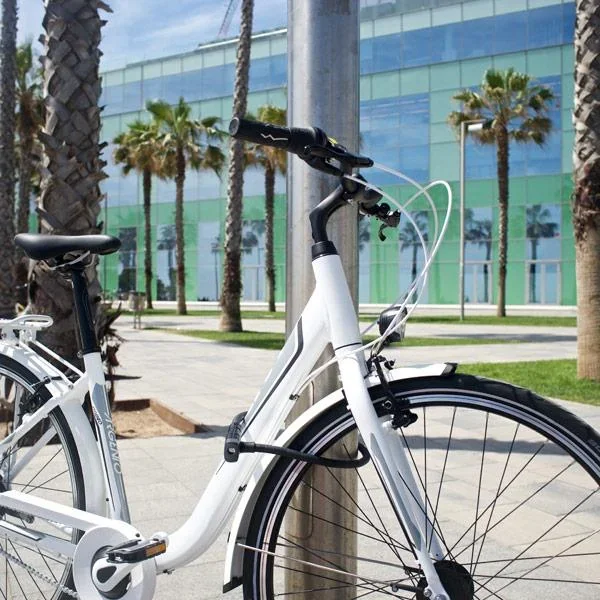 Kabelschloss microflex - 0