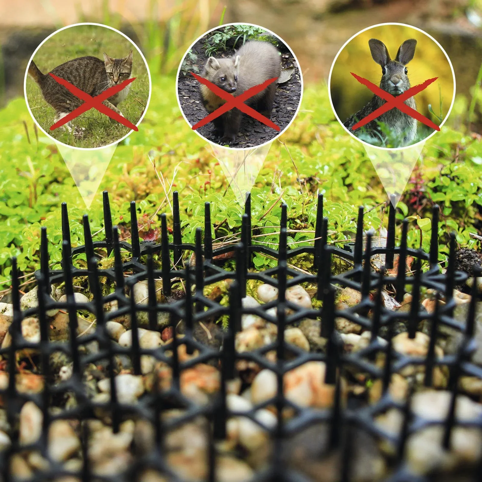 Tierabwehrpaneele Beet 6er Set - 2