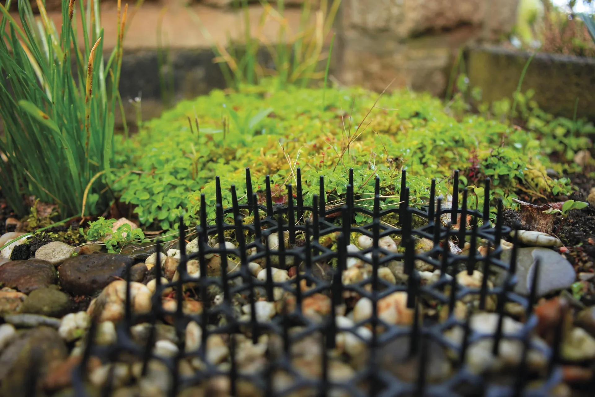 Tierabwehrpaneele Beet 6er Set - 6