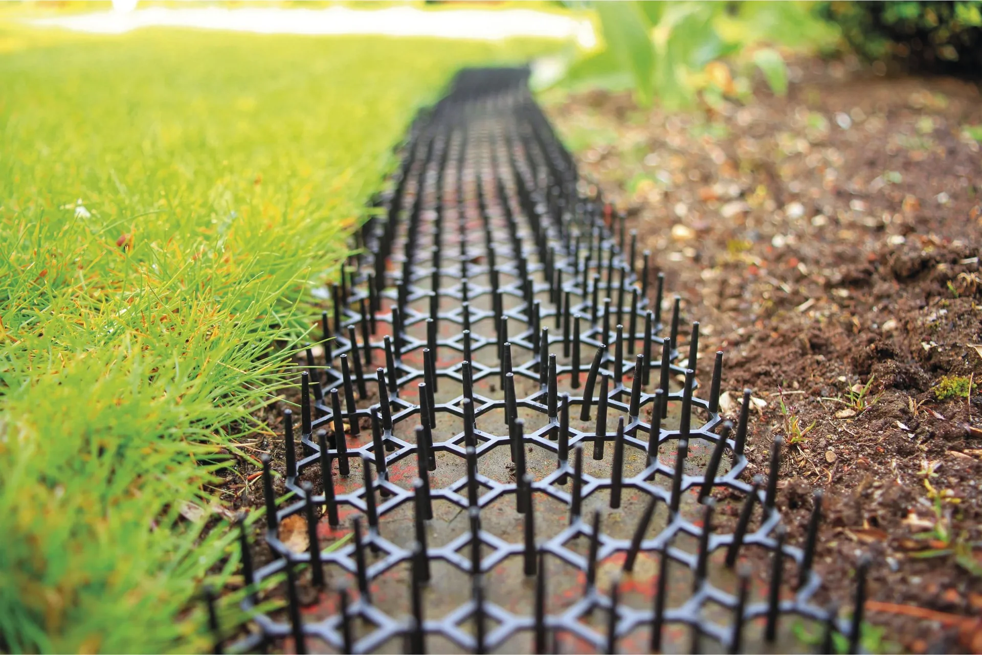 Tierabwehrpaneele Beet 6er Set - 9