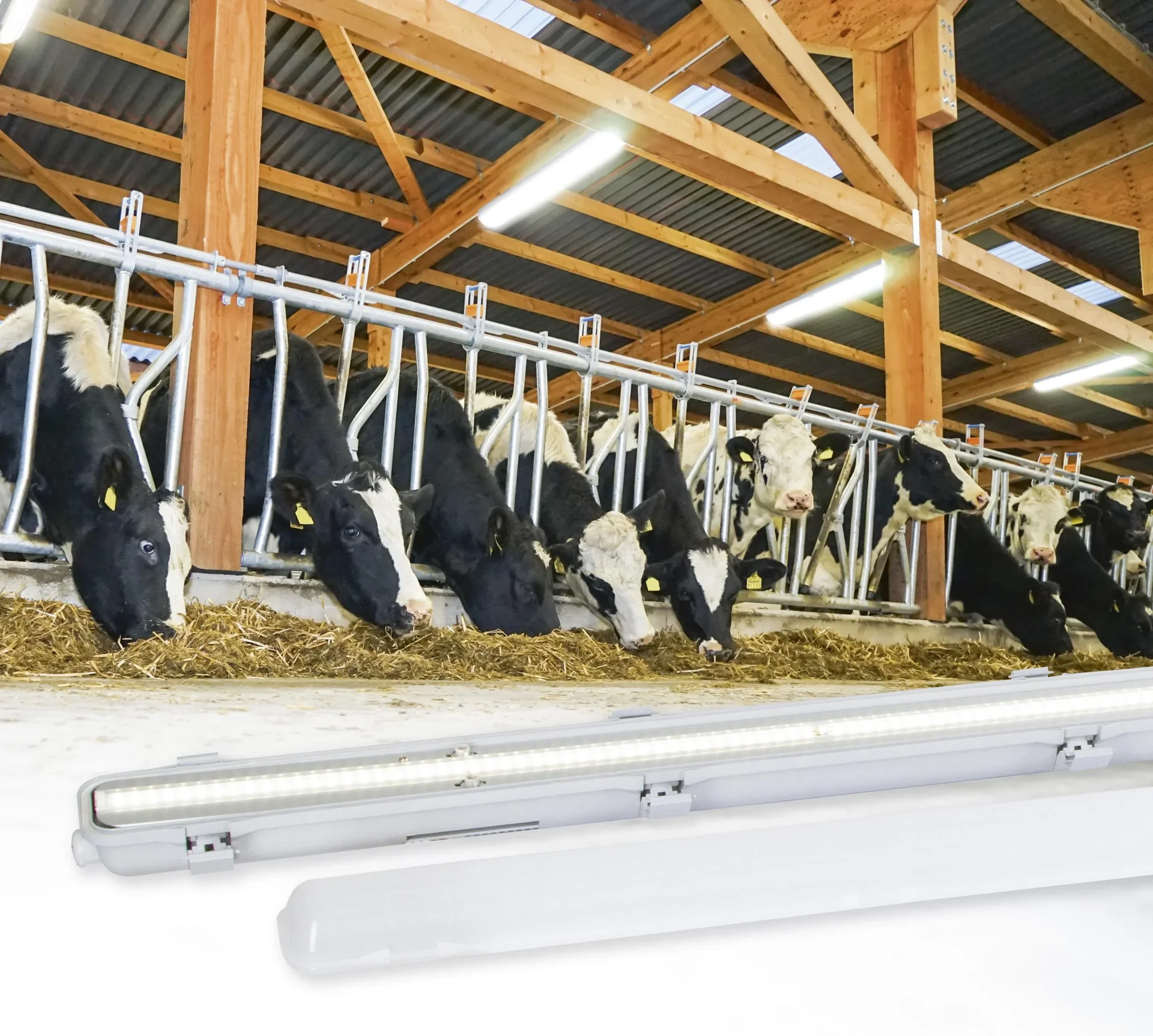 LED Feuchtraumleuchte "FarmSTAR", IP 65, 121 cm - 3