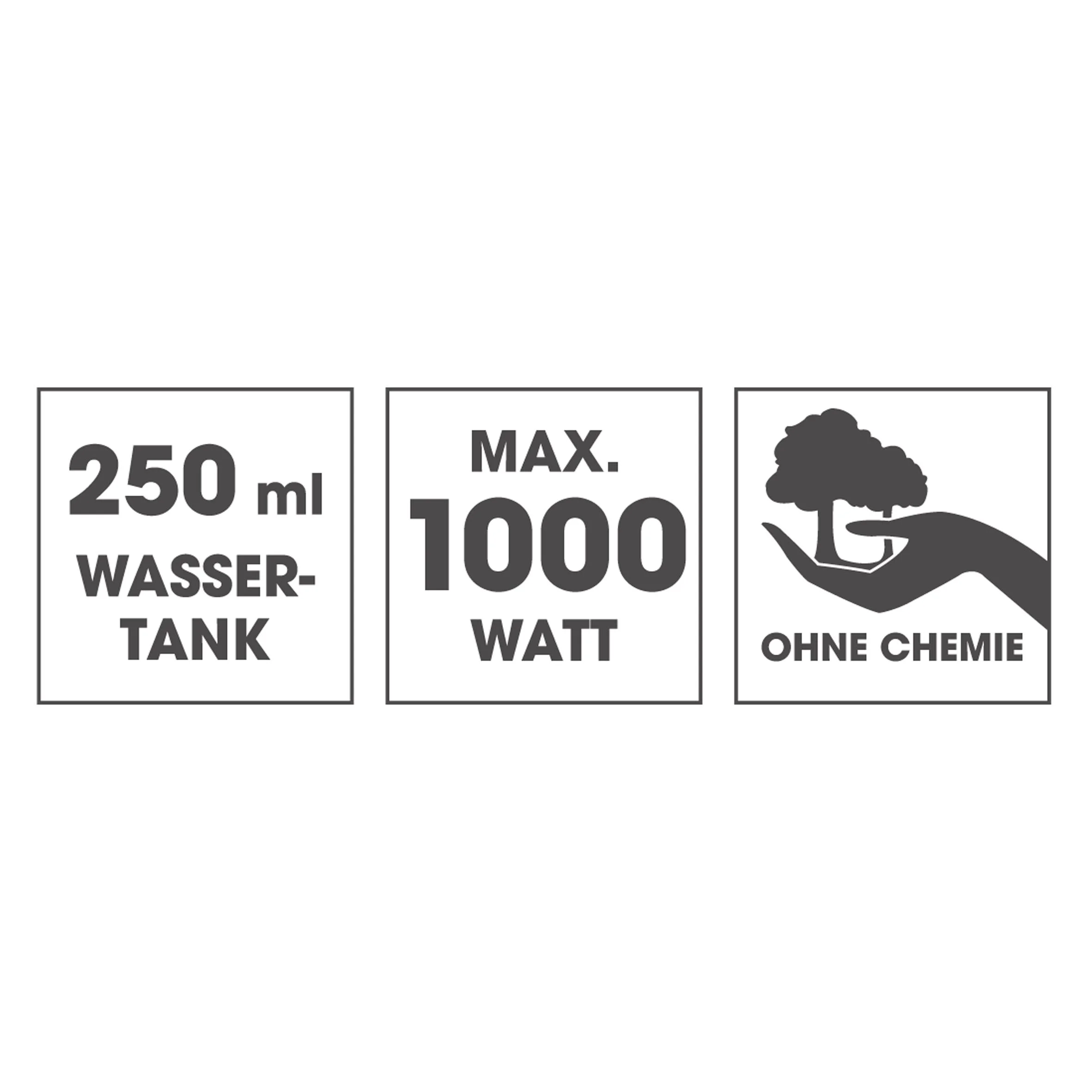 Dampfbesen, 1000 W - 1