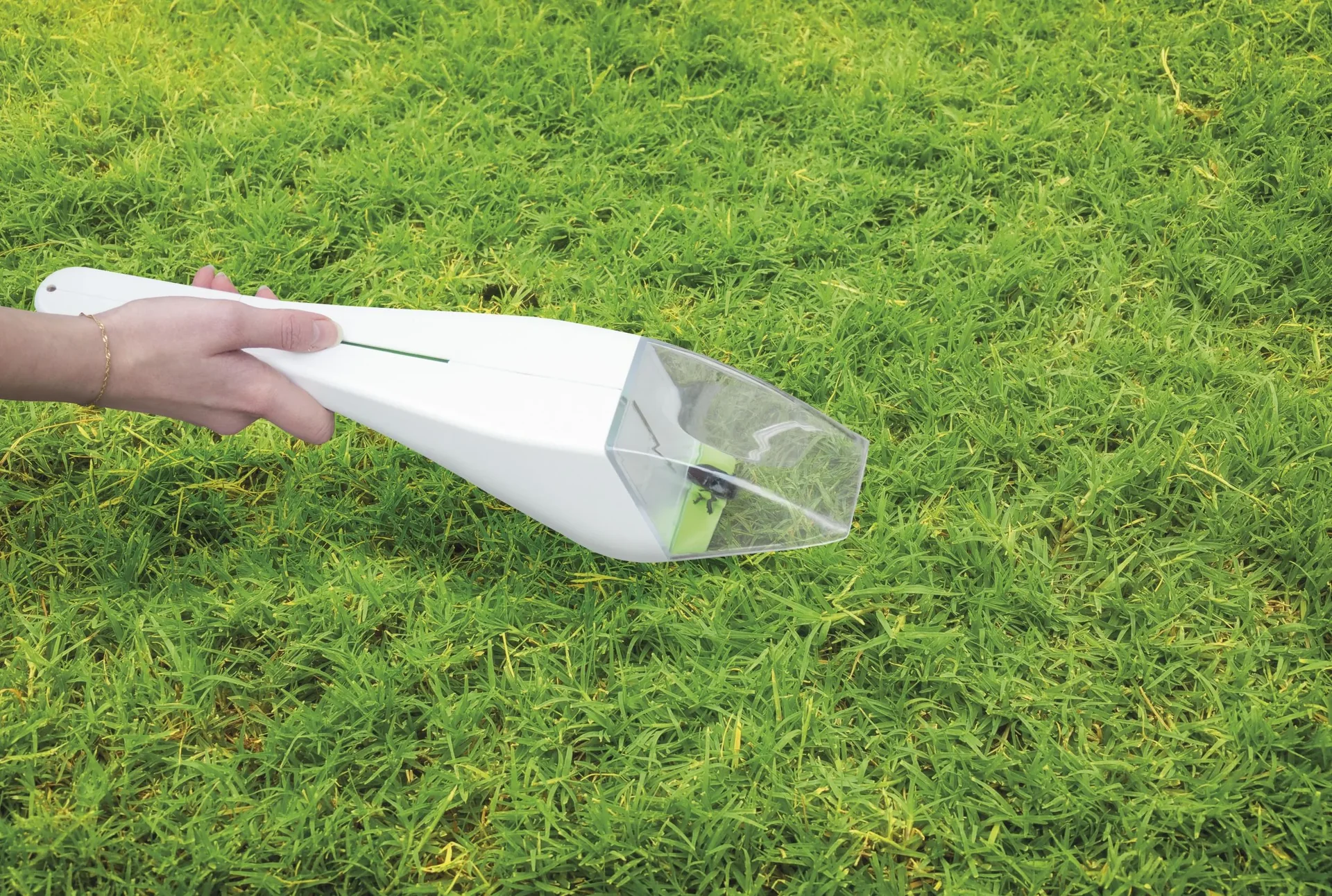 Insekten-Lebendfänger mit Lupe - 0