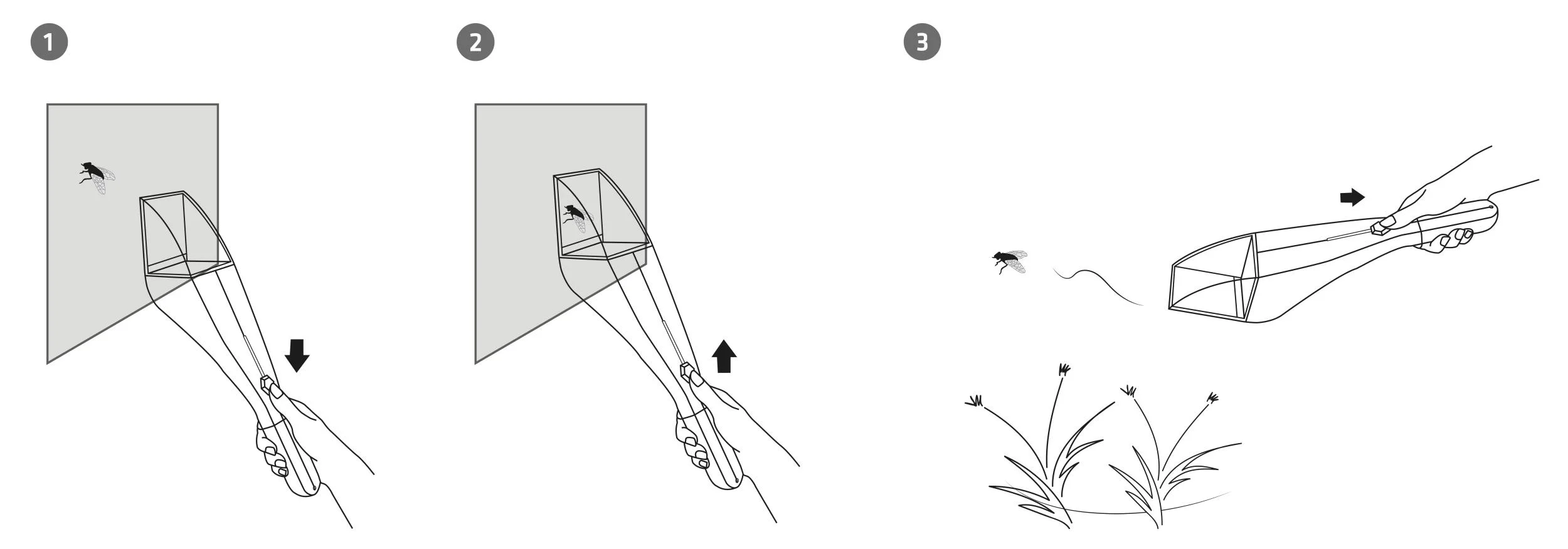 Insekten-Lebendfänger mit Lupe - 4