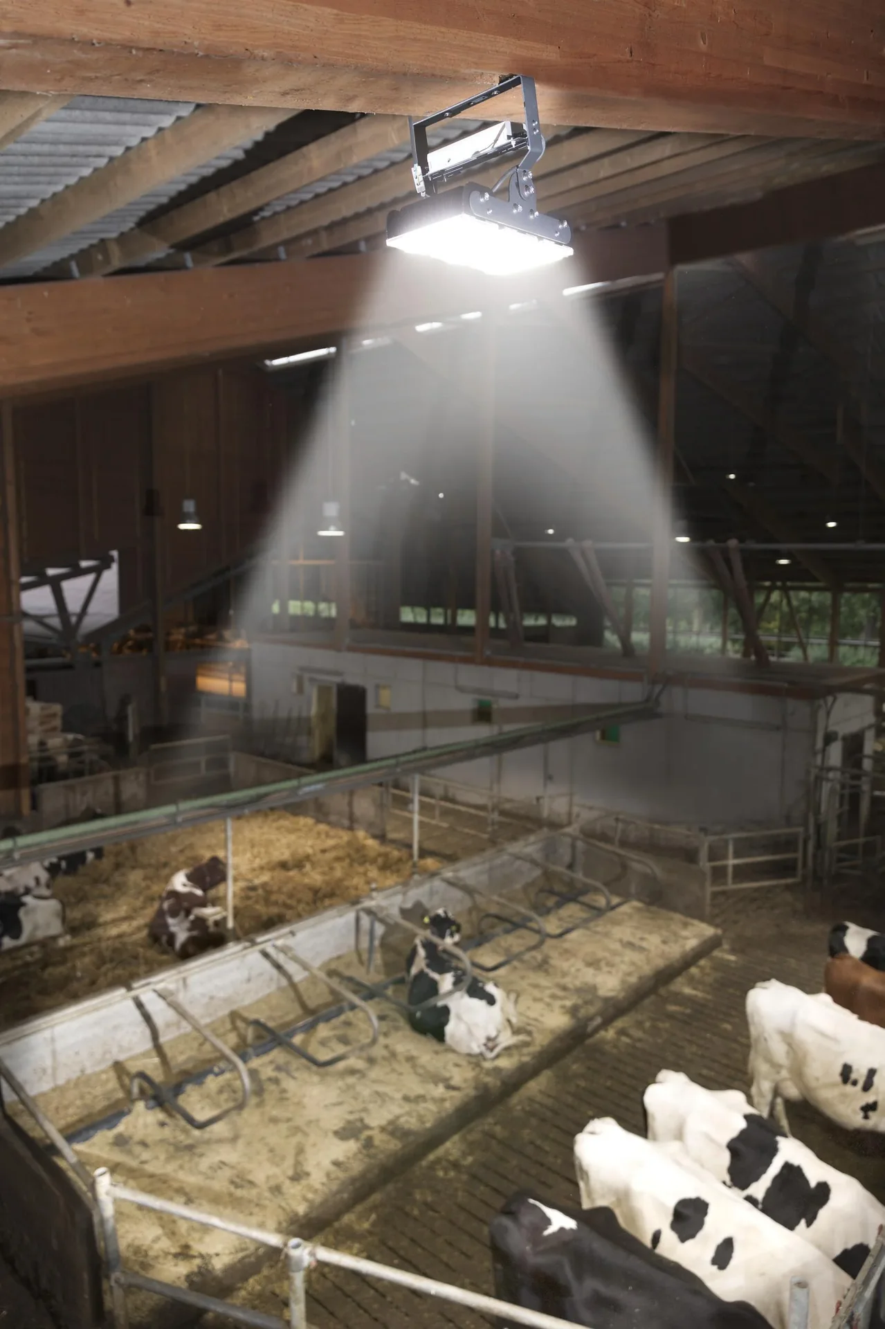 150 W Multi LED Stall Leuchte, 3 Module 19.500 Lumen, IP65 / D- Kennzeichen - 6