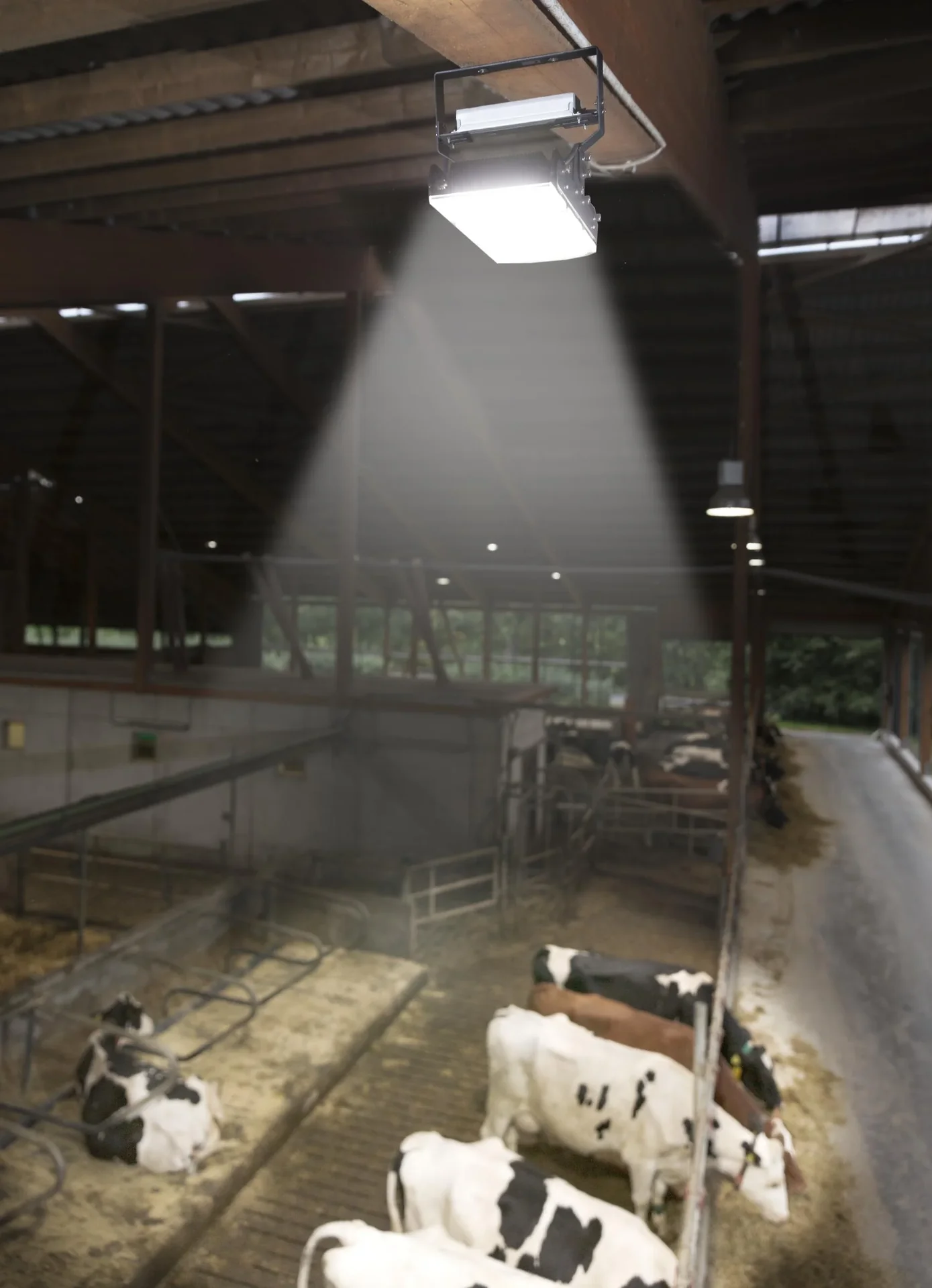 150 W Multi LED Stall Leuchte, 3 Module 19.500 Lumen, IP65 / D- Kennzeichen - 9