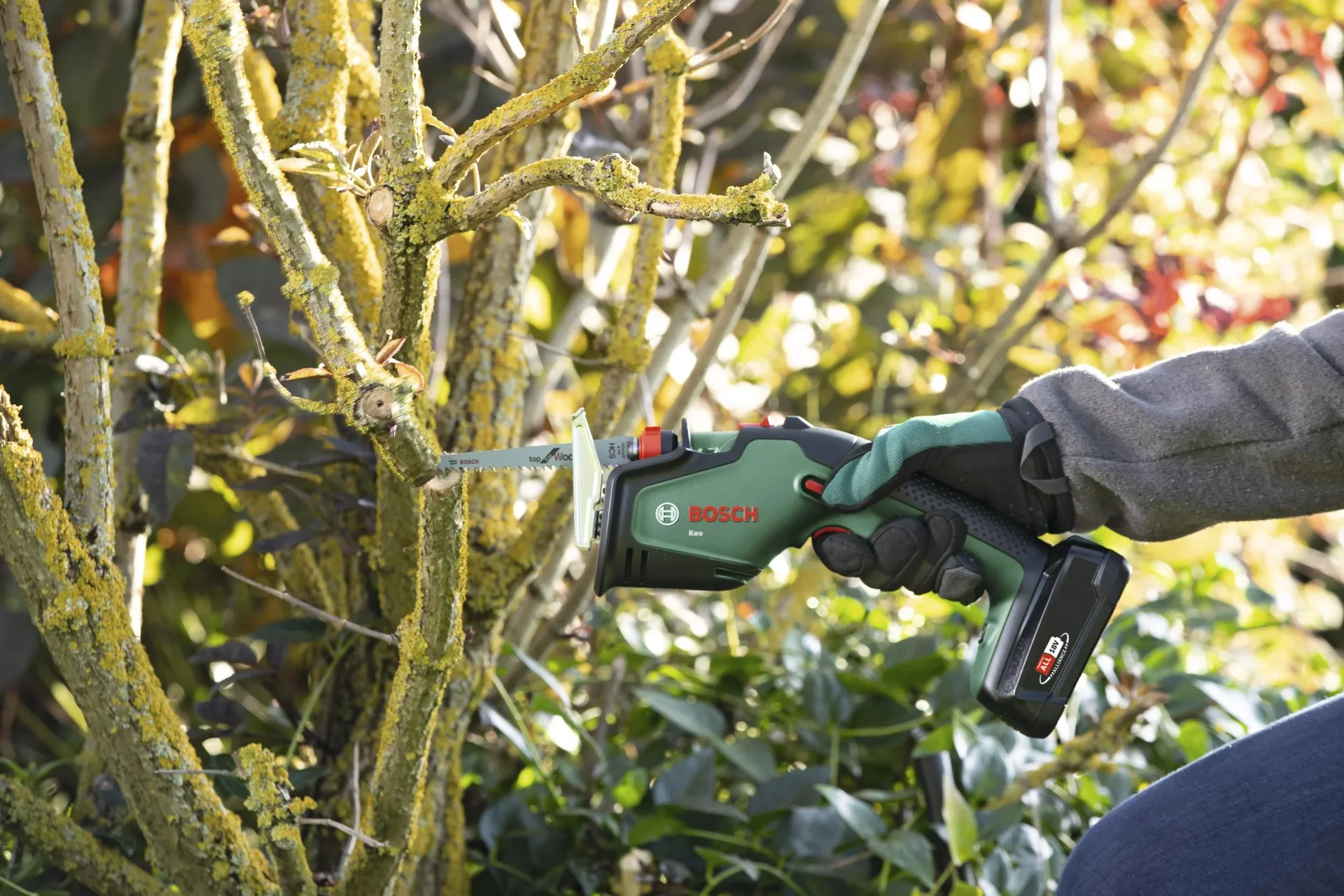 Universal - Gartensäge - Set, KEO 18 - 1