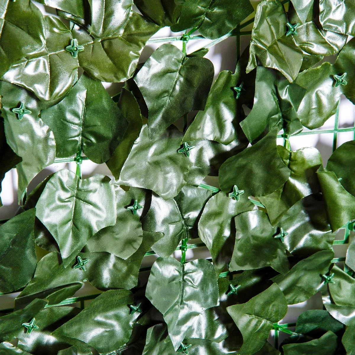 Sichtschutzhecke dunkelgrün - 0