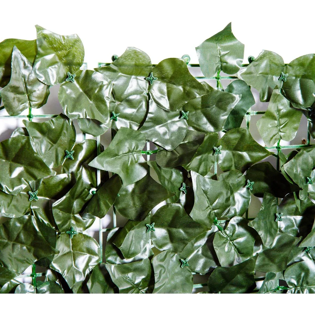 Sichtschutzhecke dunkelgrün - 2