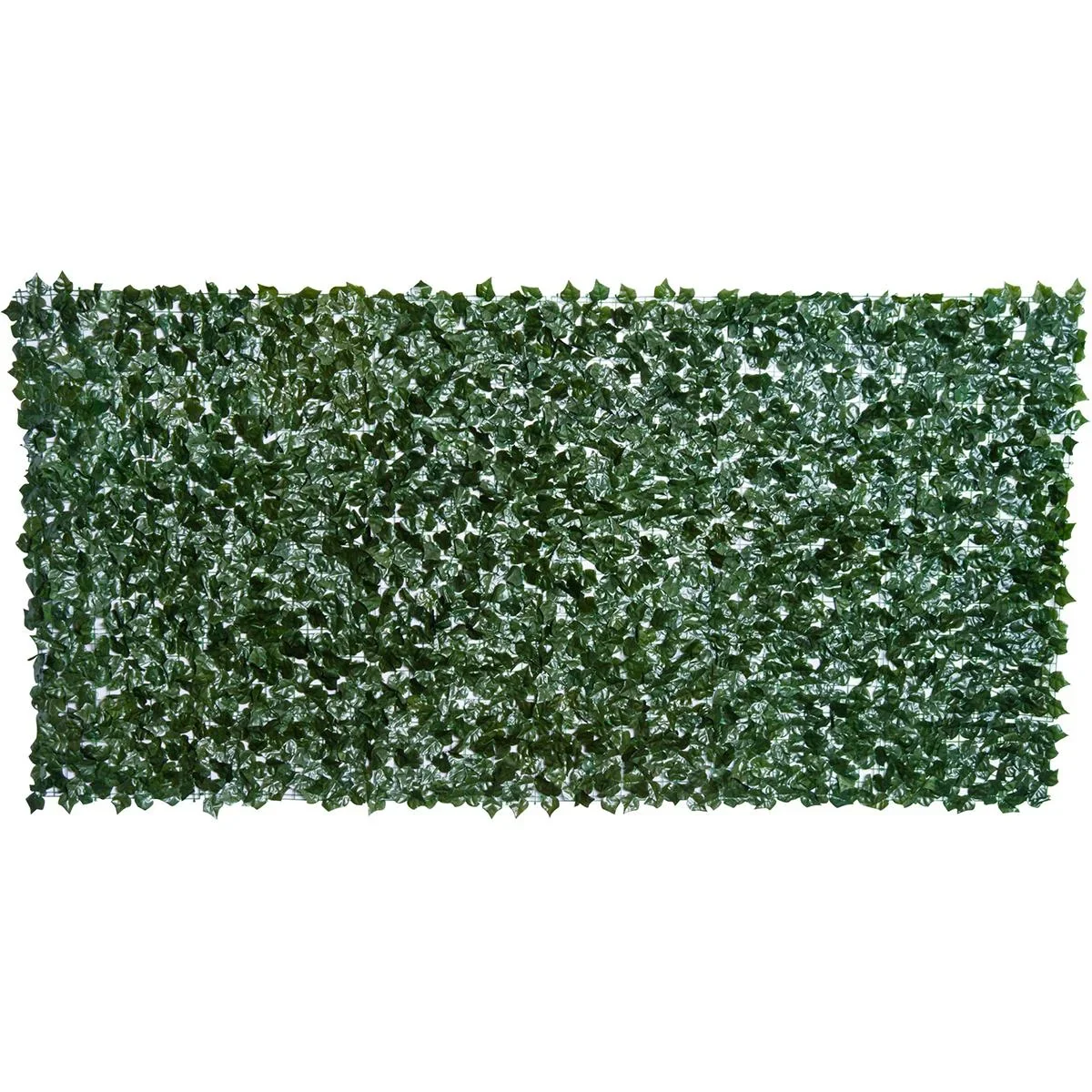 Sichtschutzhecke dunkelgrün - 3