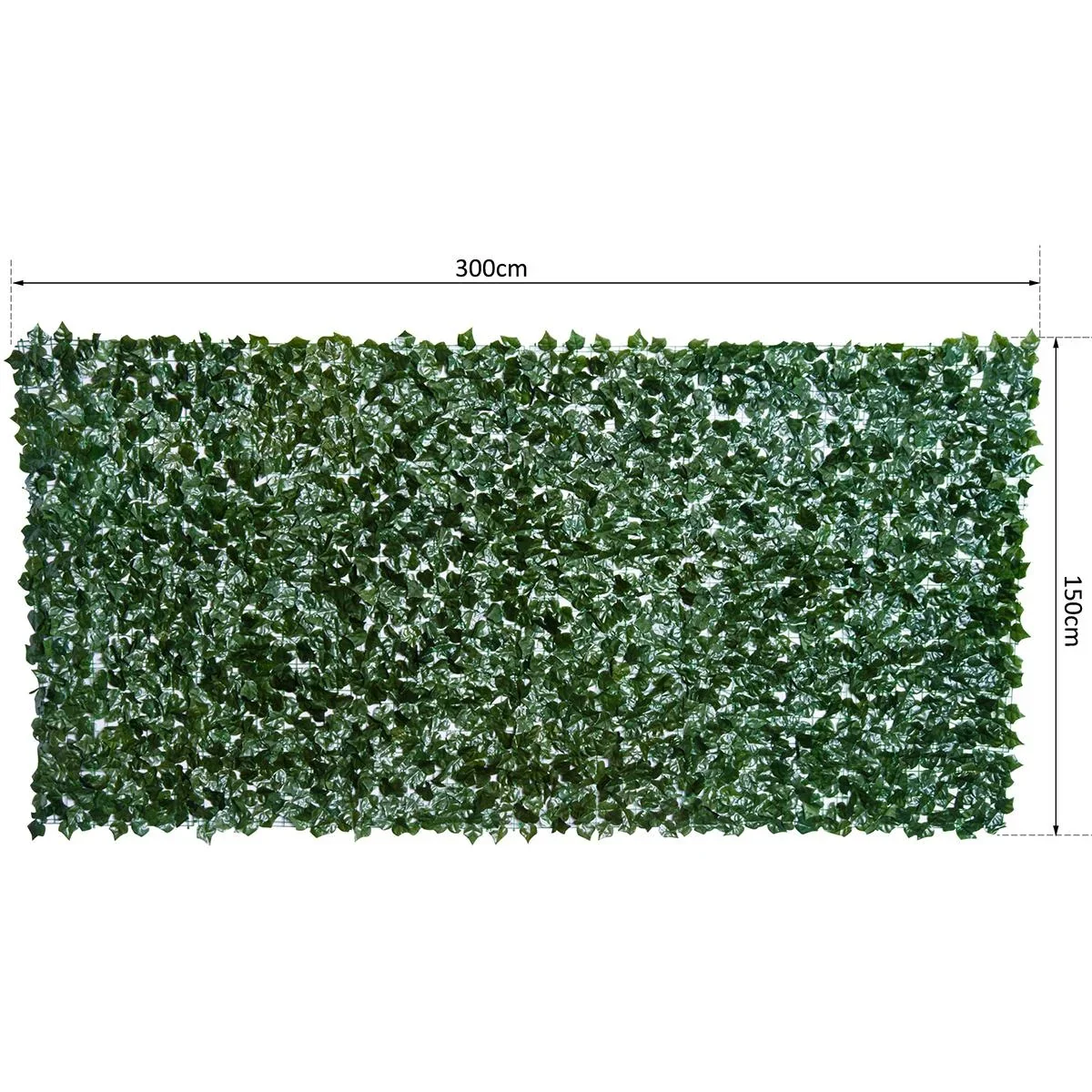 Sichtschutzhecke dunkelgrün - 8