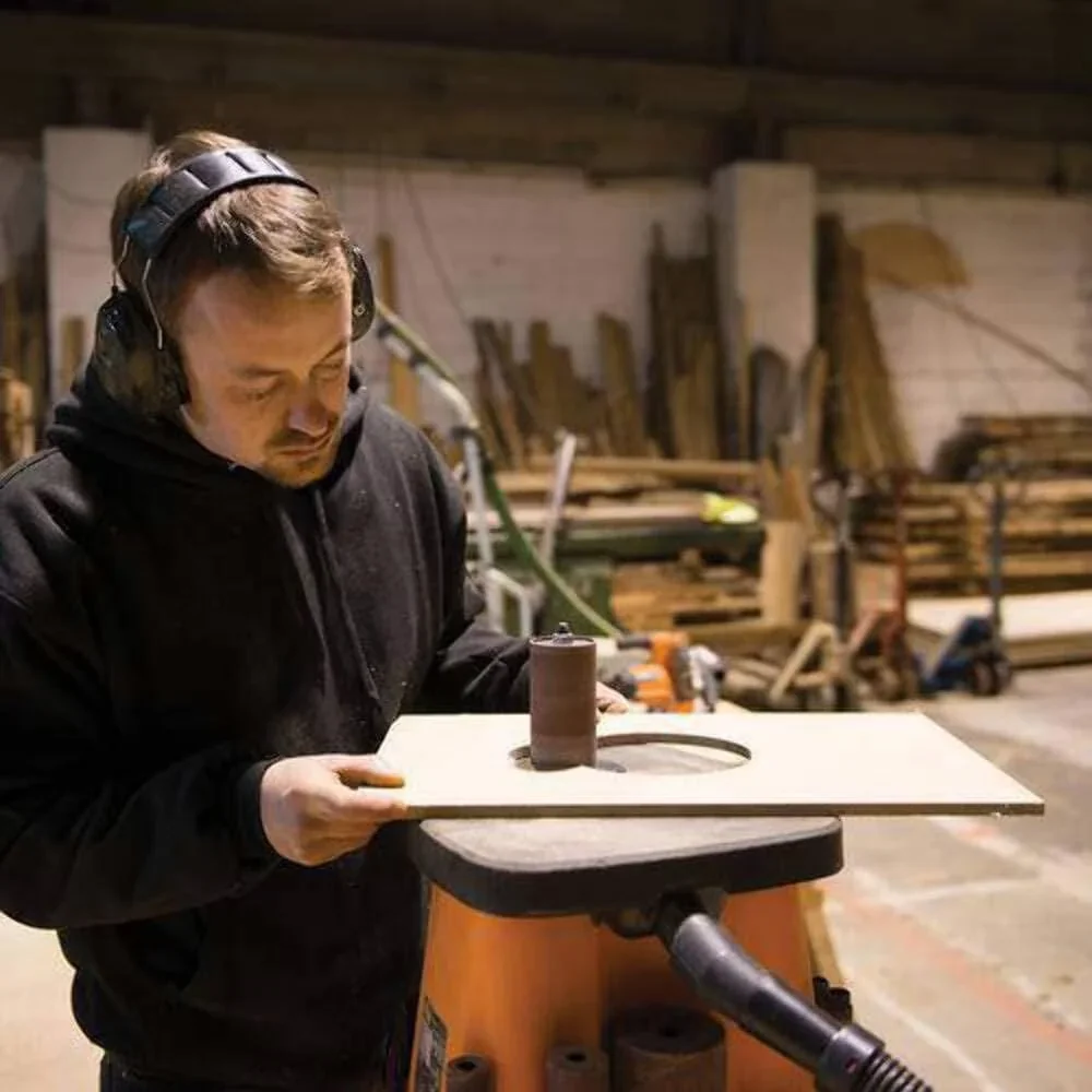 Oszillierende Schleifmaschine TSPS450 - 450W - 37x29,5 cm - 0