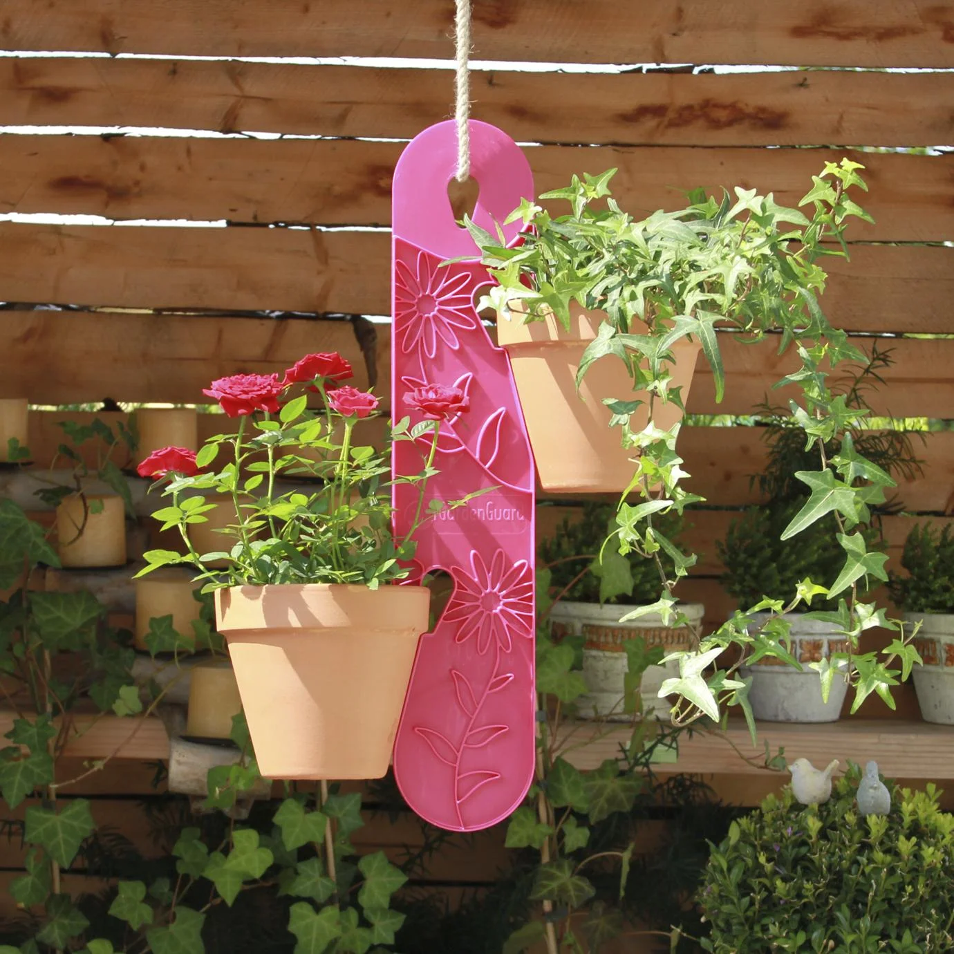 Blumenampel, pink - 0