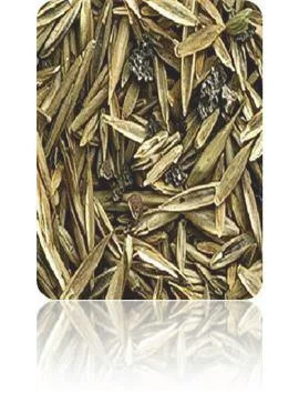 TerraVital Bequem&Wohlfühl Rasen Samen Mix - 3 kg - 1