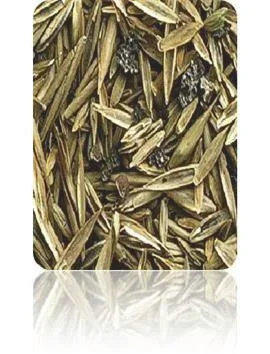 TerraVital Bequem&Wohlfühl Rasen Samen Mix - 3 kg - 1