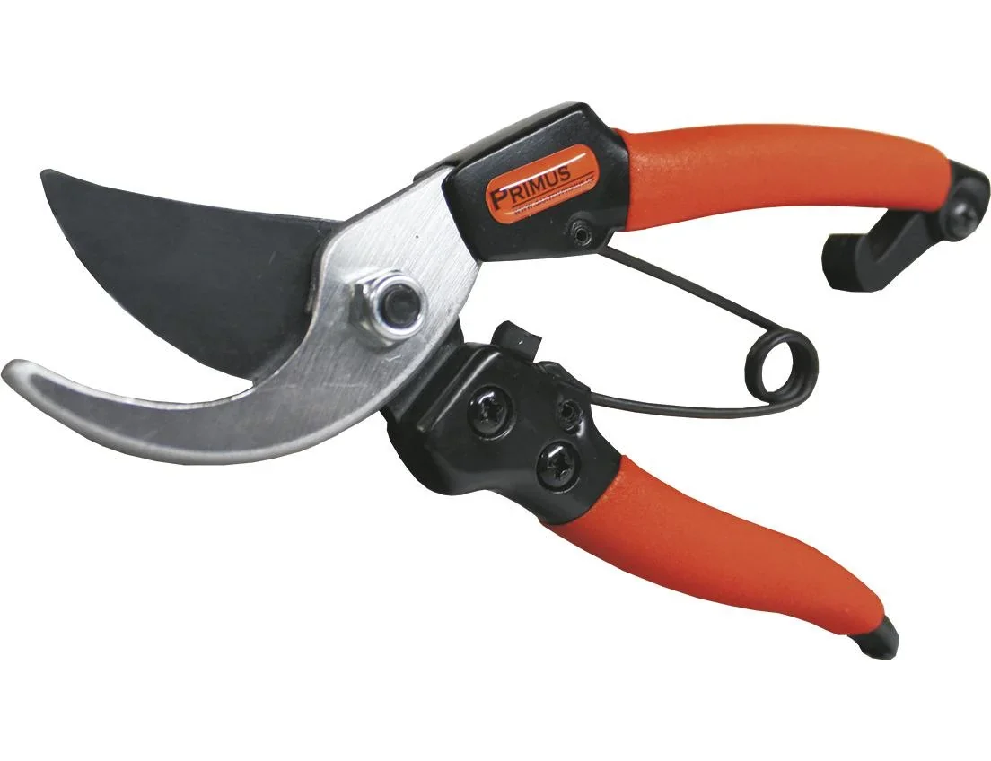 Damengartenschere "Königin der Rosen" - 0