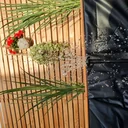 Sechseck-Hochteich 125 cm Solar - 5